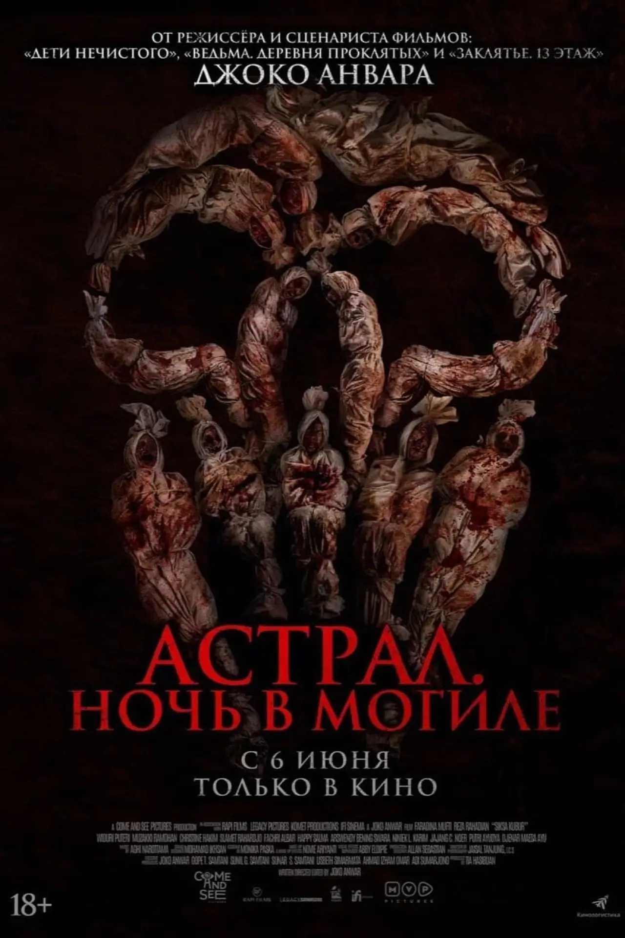 Постер к фильму "Астрал. Ночь в могиле"