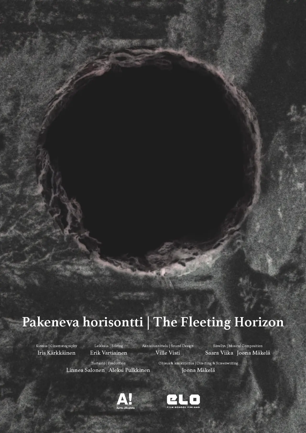 Постер к фильму "Pakeneva horisontti"