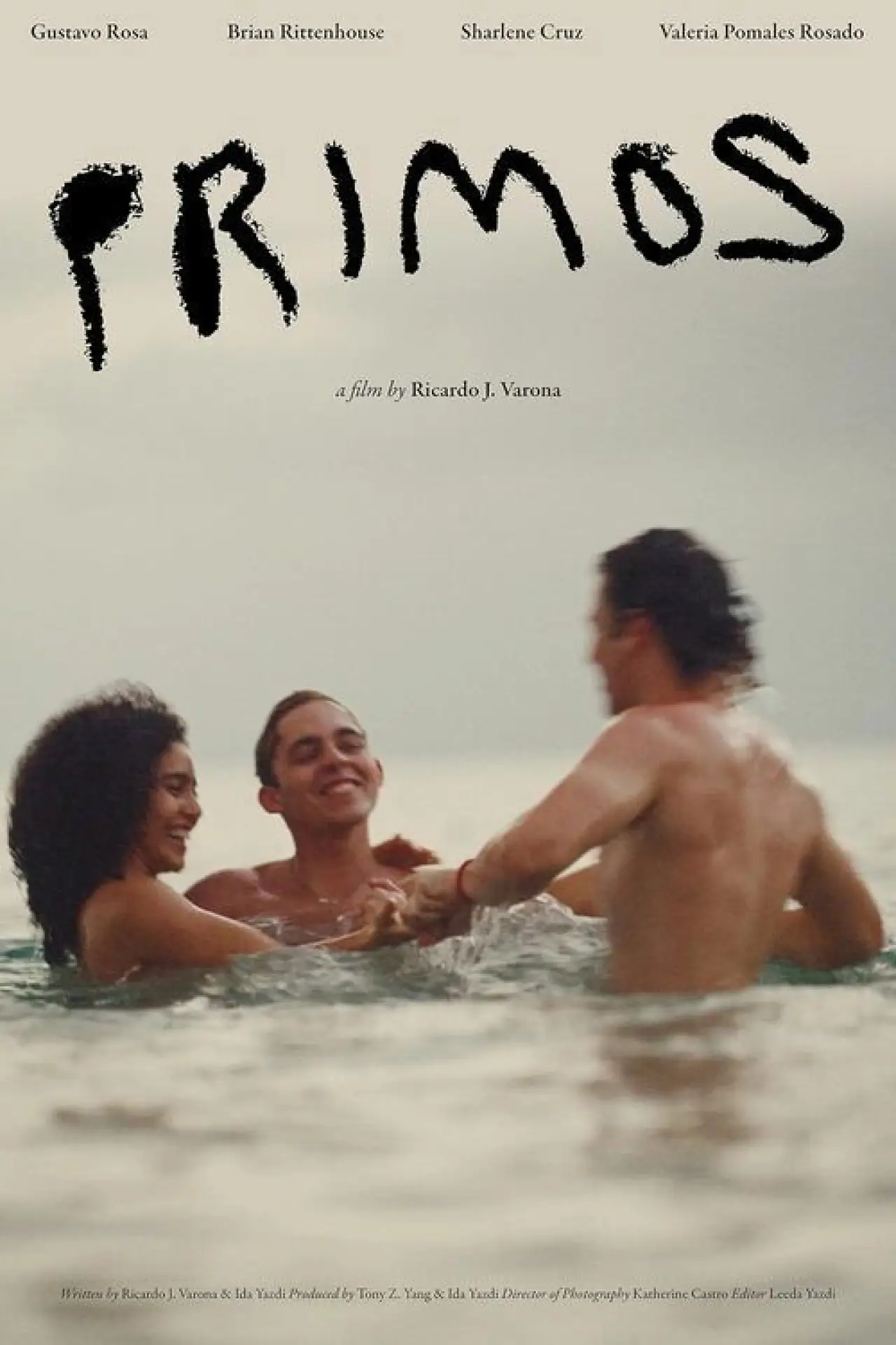 Постер к фильму "Primos"