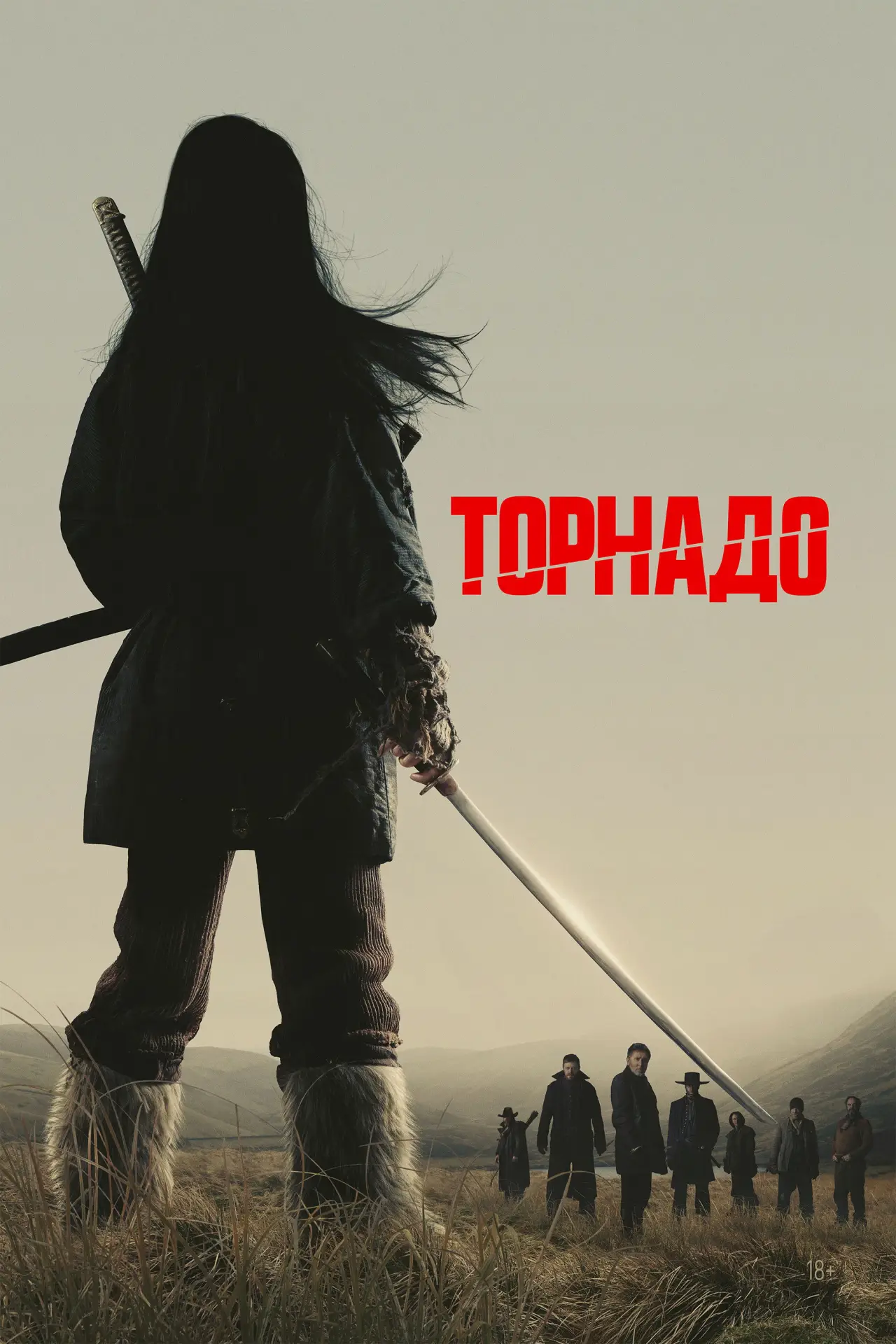 Постер к фильму "Торнадо"