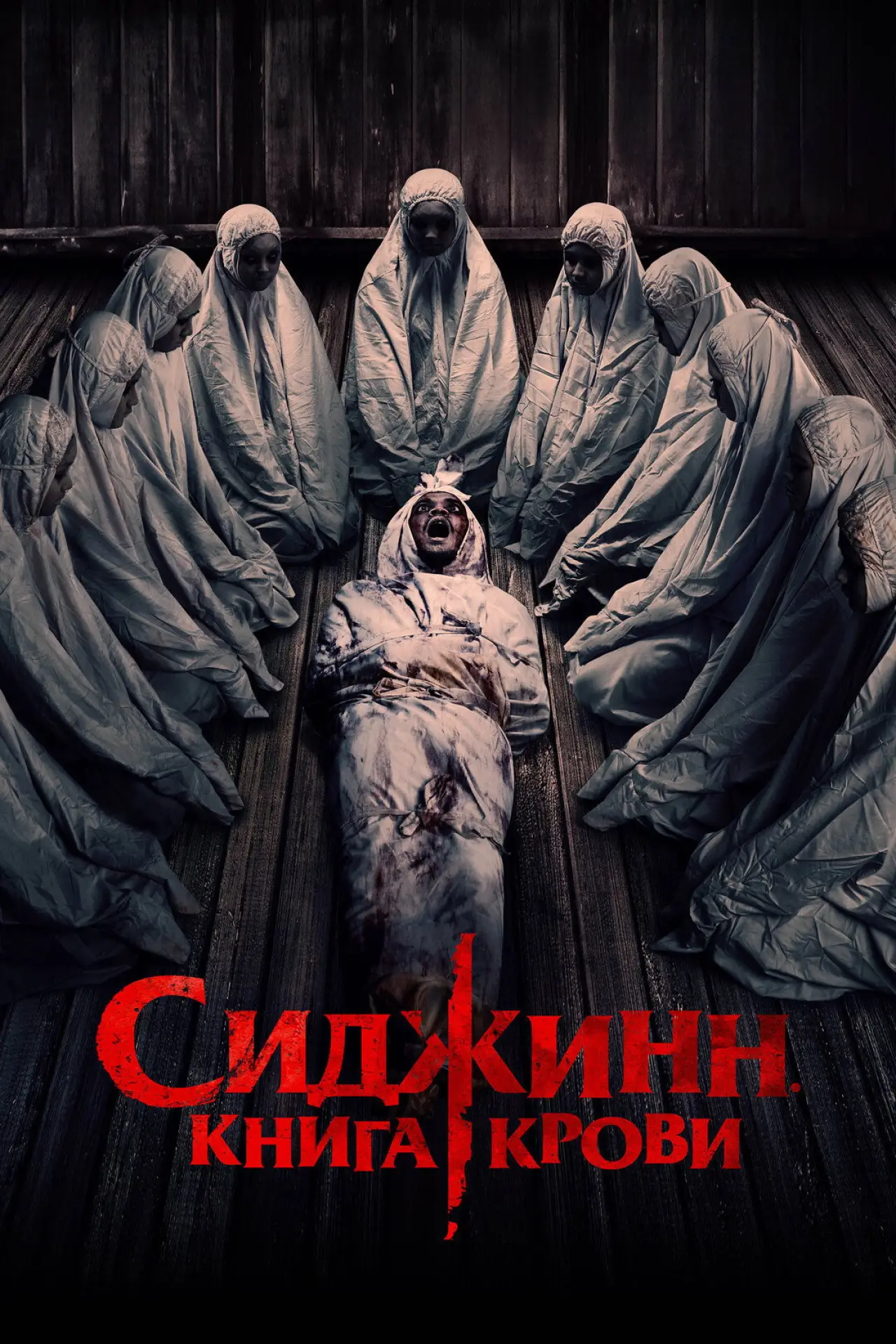 Постер к фильму "Сиджинн. Книга крови"