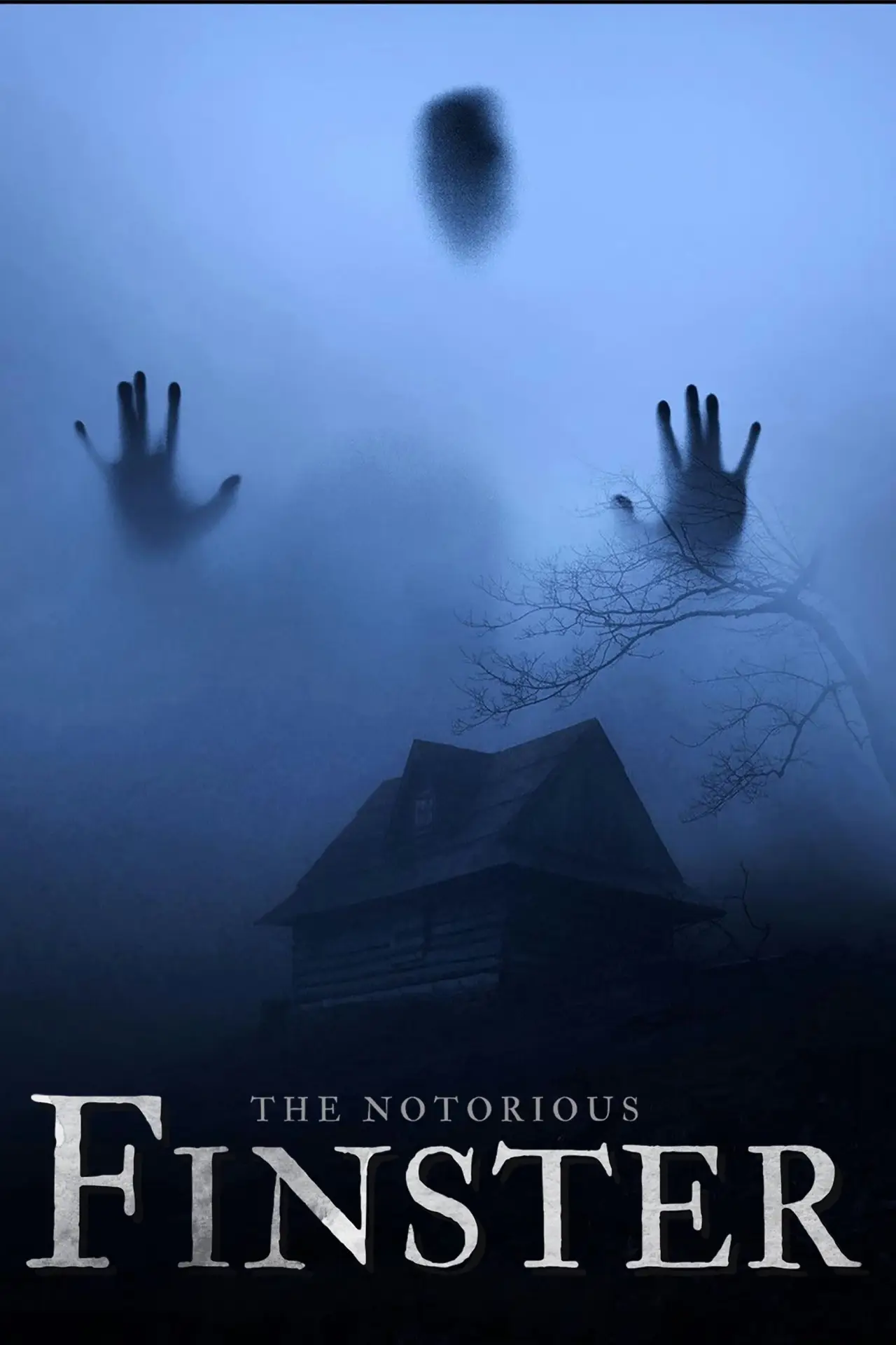 Постер к фильму "The Notorious Finster"