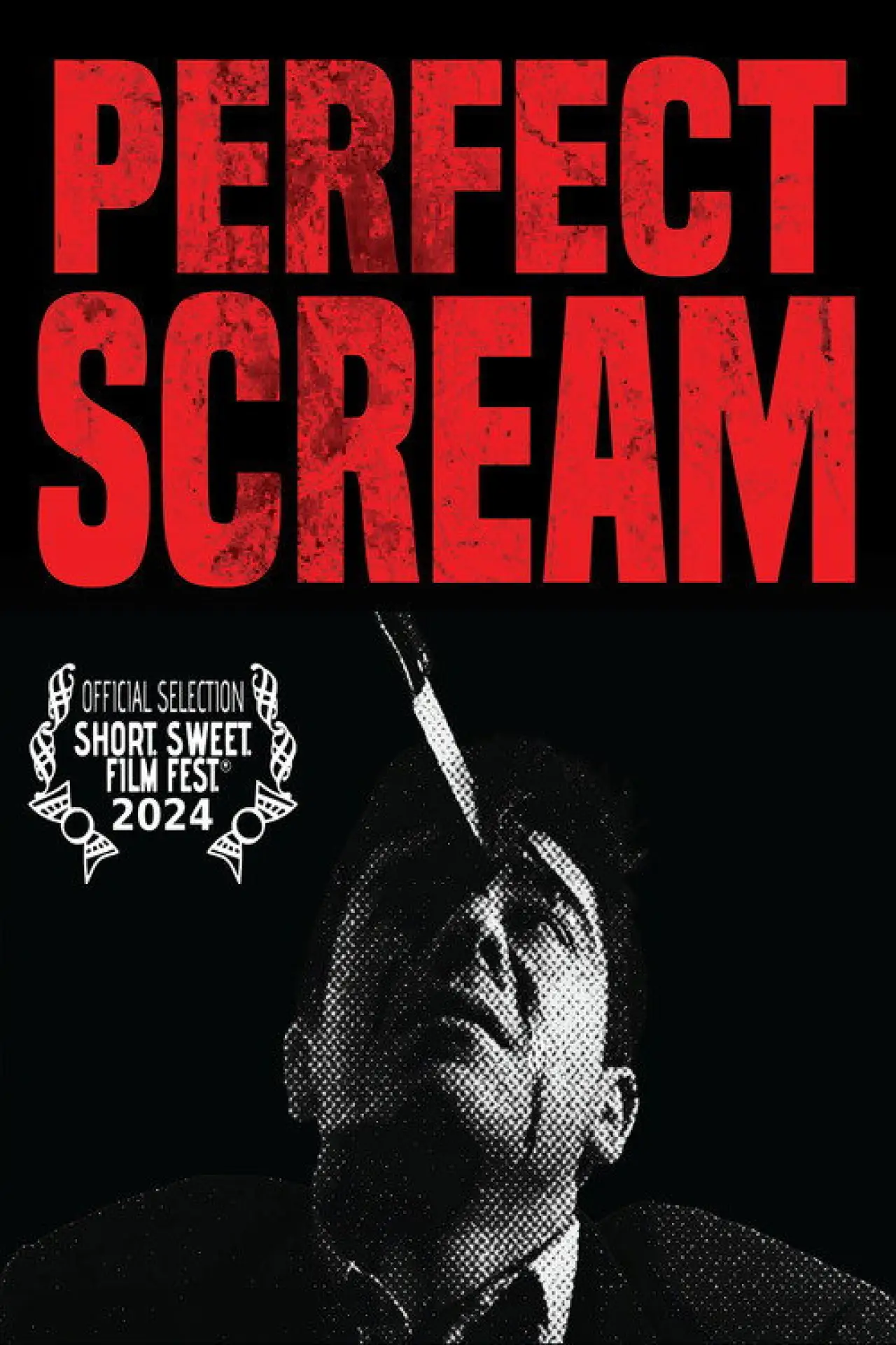 Постер к фильму "Perfect Scream"