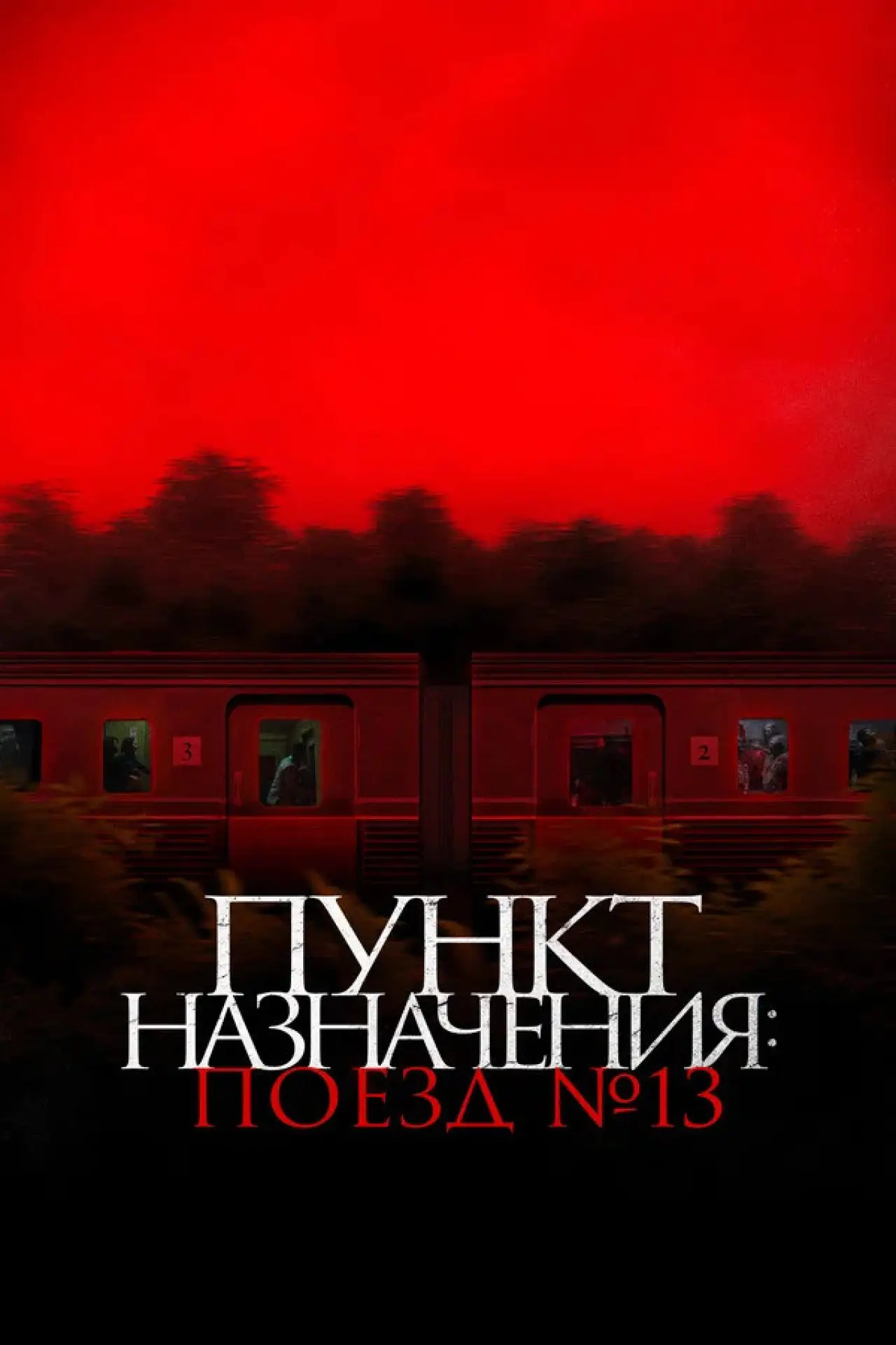 Постер к фильму "Пункт назначения: Поезд №13"