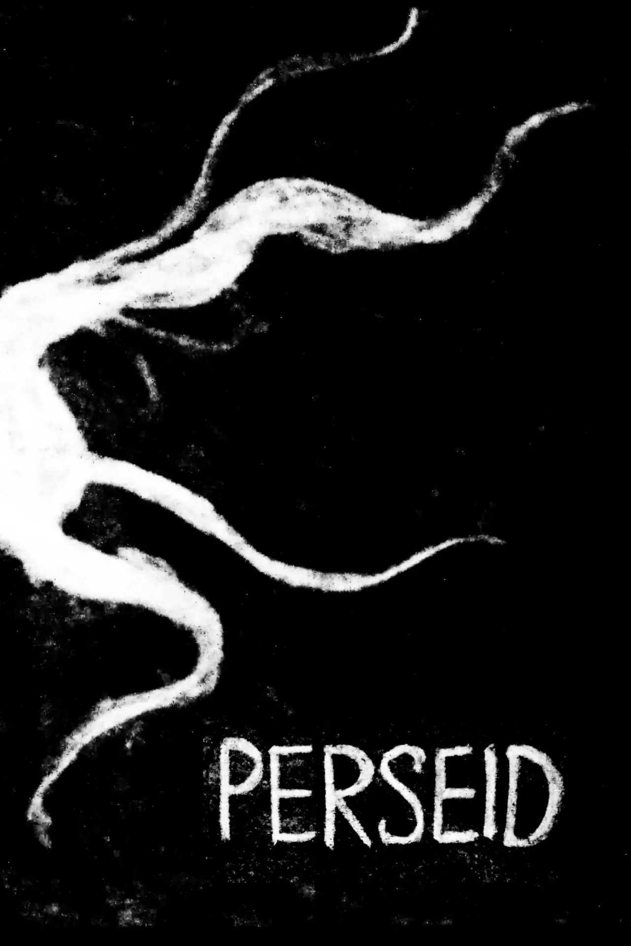 Постер к фильму "Perseid"