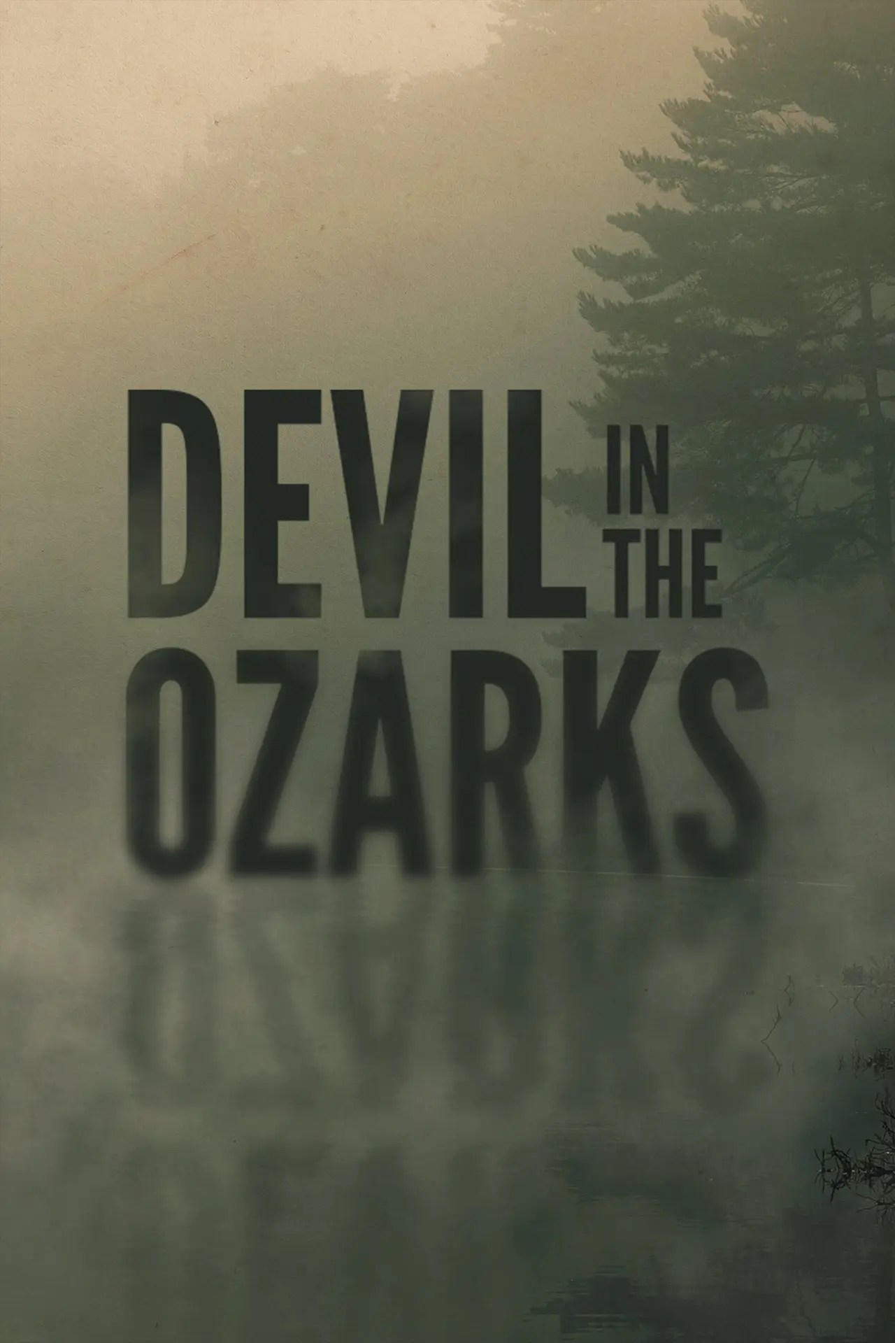 Постер к фильму "Devil in the Ozarks"