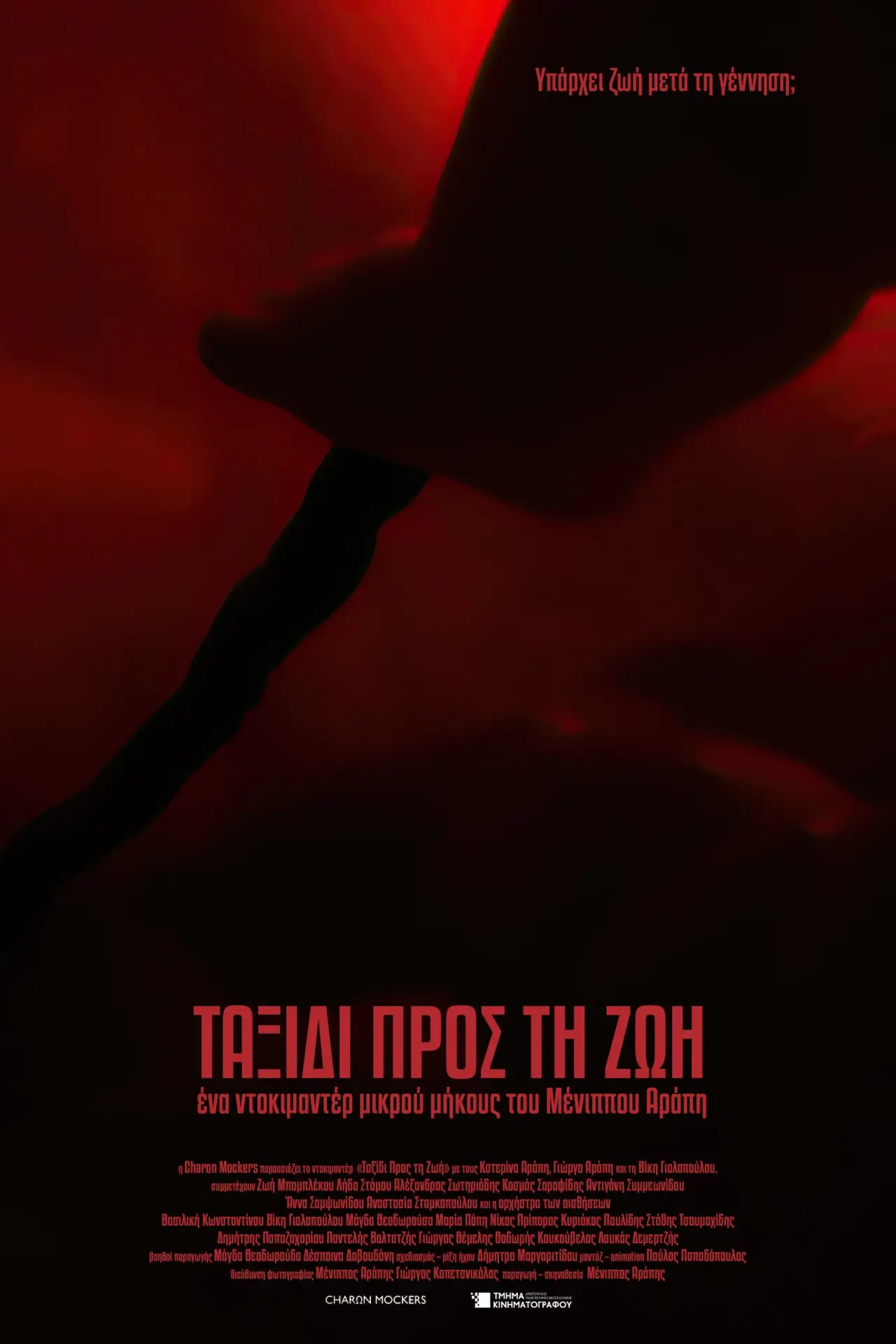 Постер к фильму "Ταξίδι Προς Τη Ζωή"