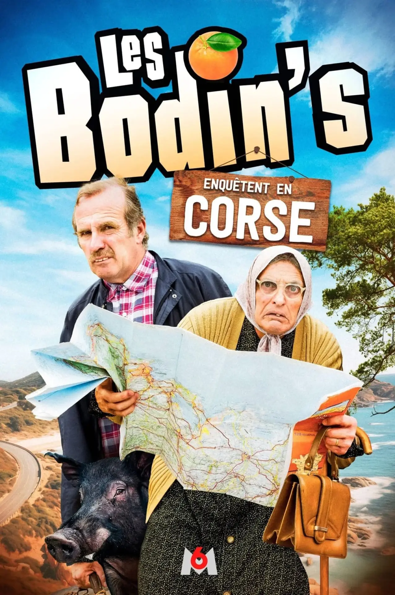 Постер к фильму "Les Bodin