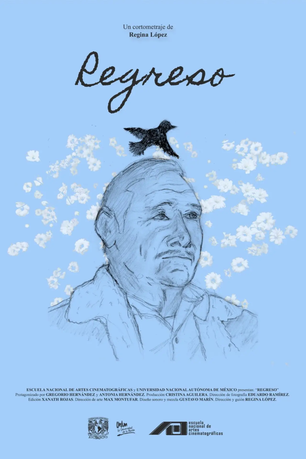 Постер к фильму "Regreso"