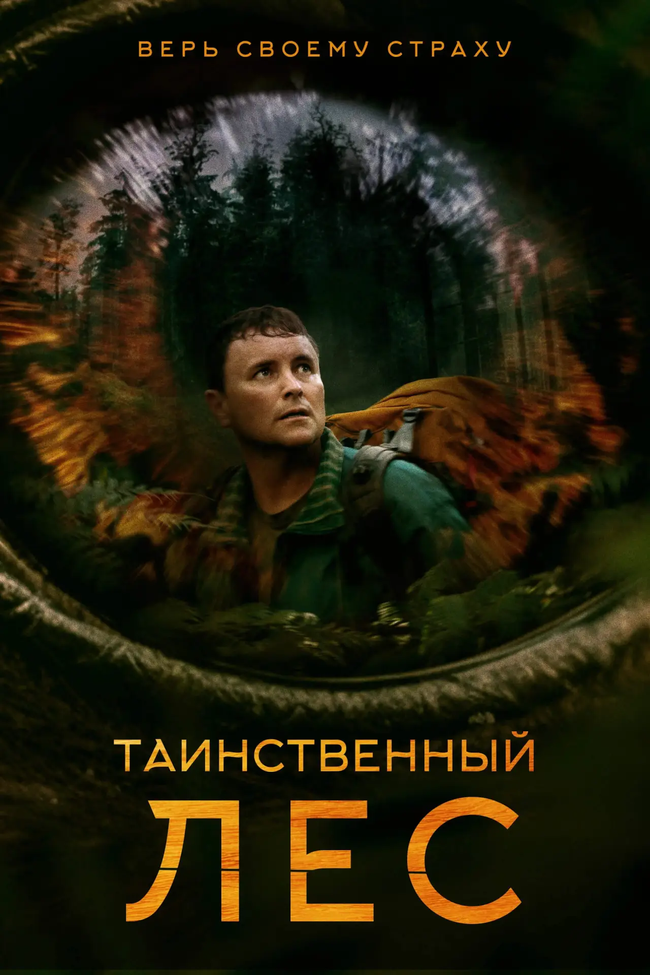 Постер к фильму "Таинственный лес"