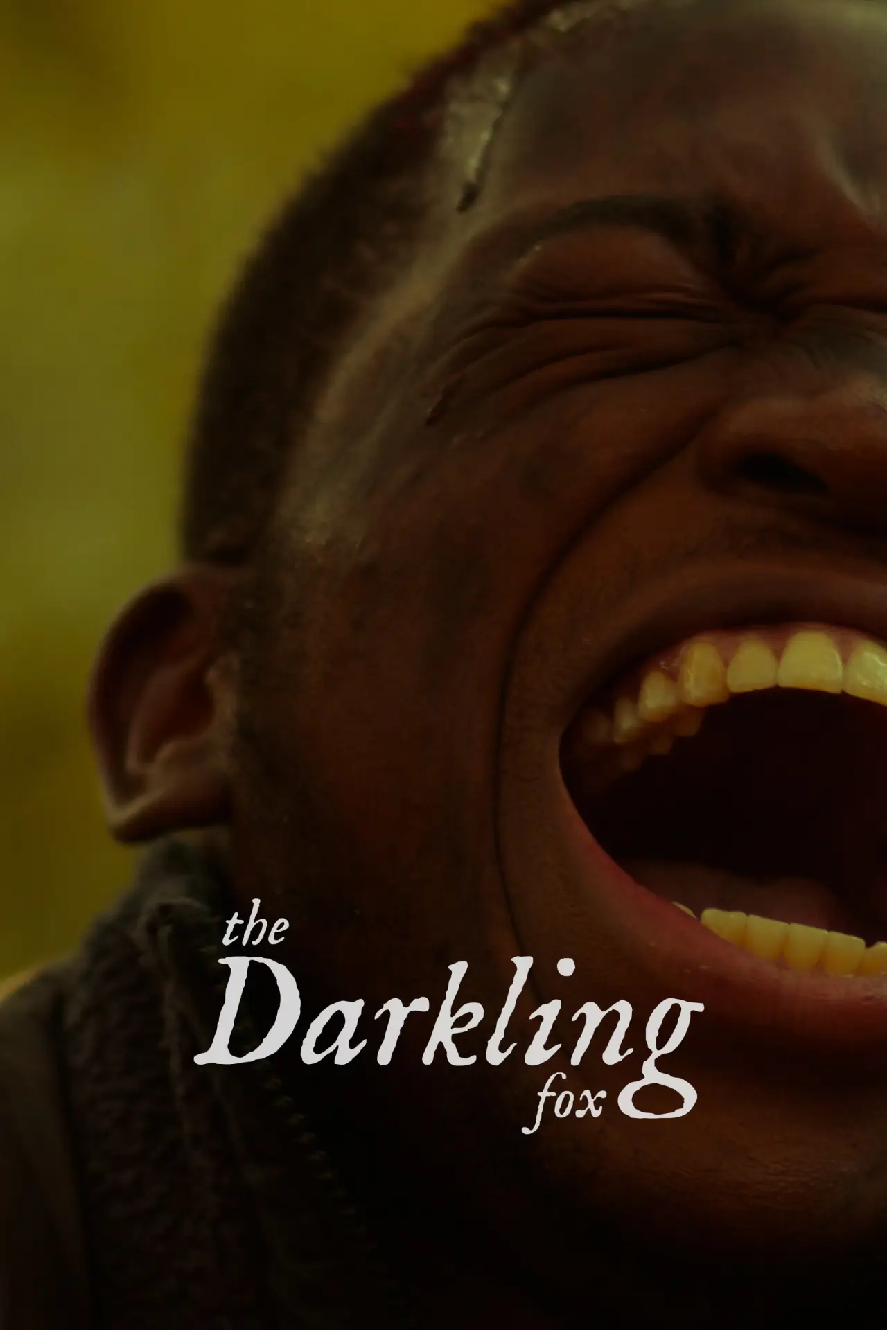 Постер к фильму "The Darkling Fox"