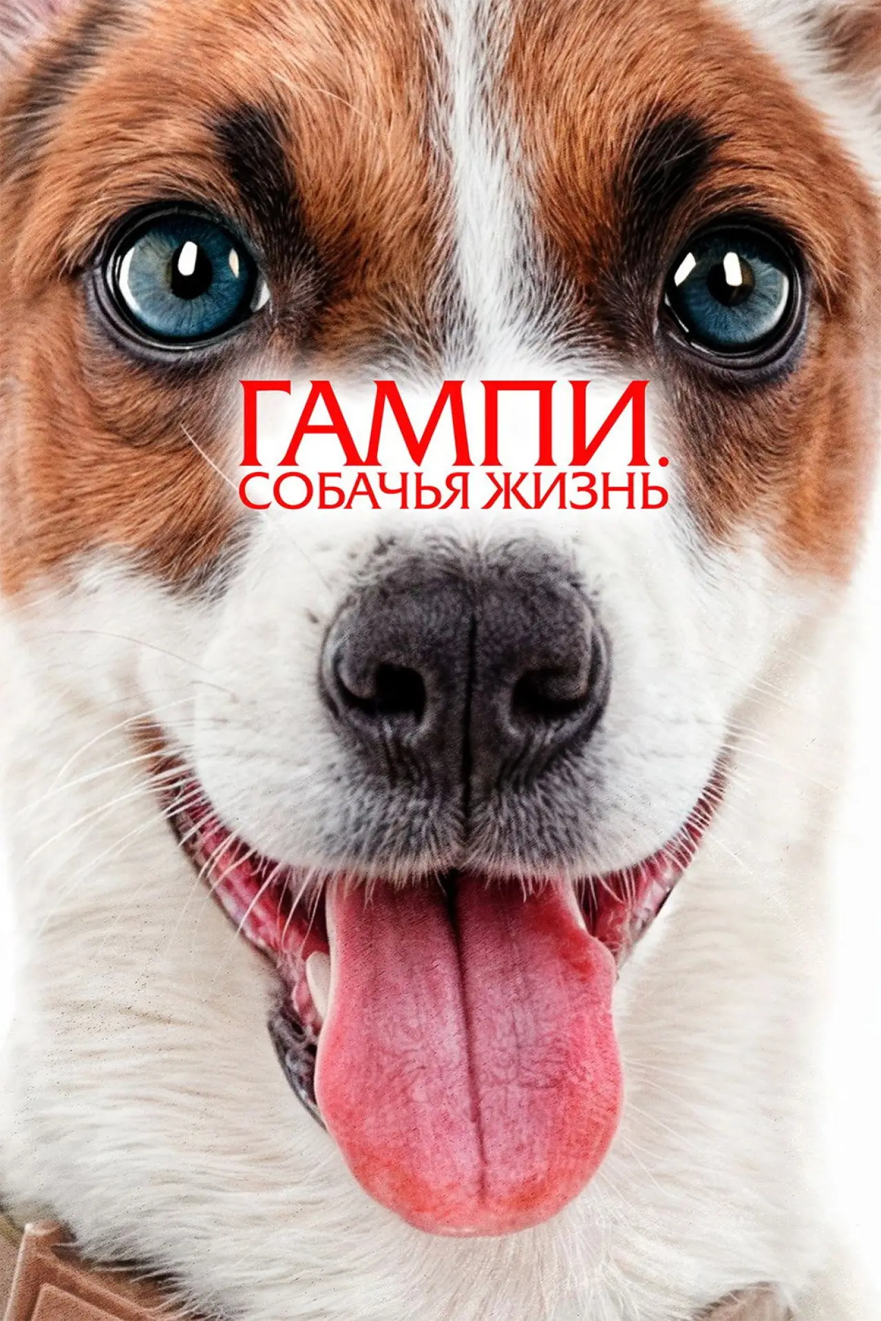 Постер к фильму "Гампи. Собачья жизнь"