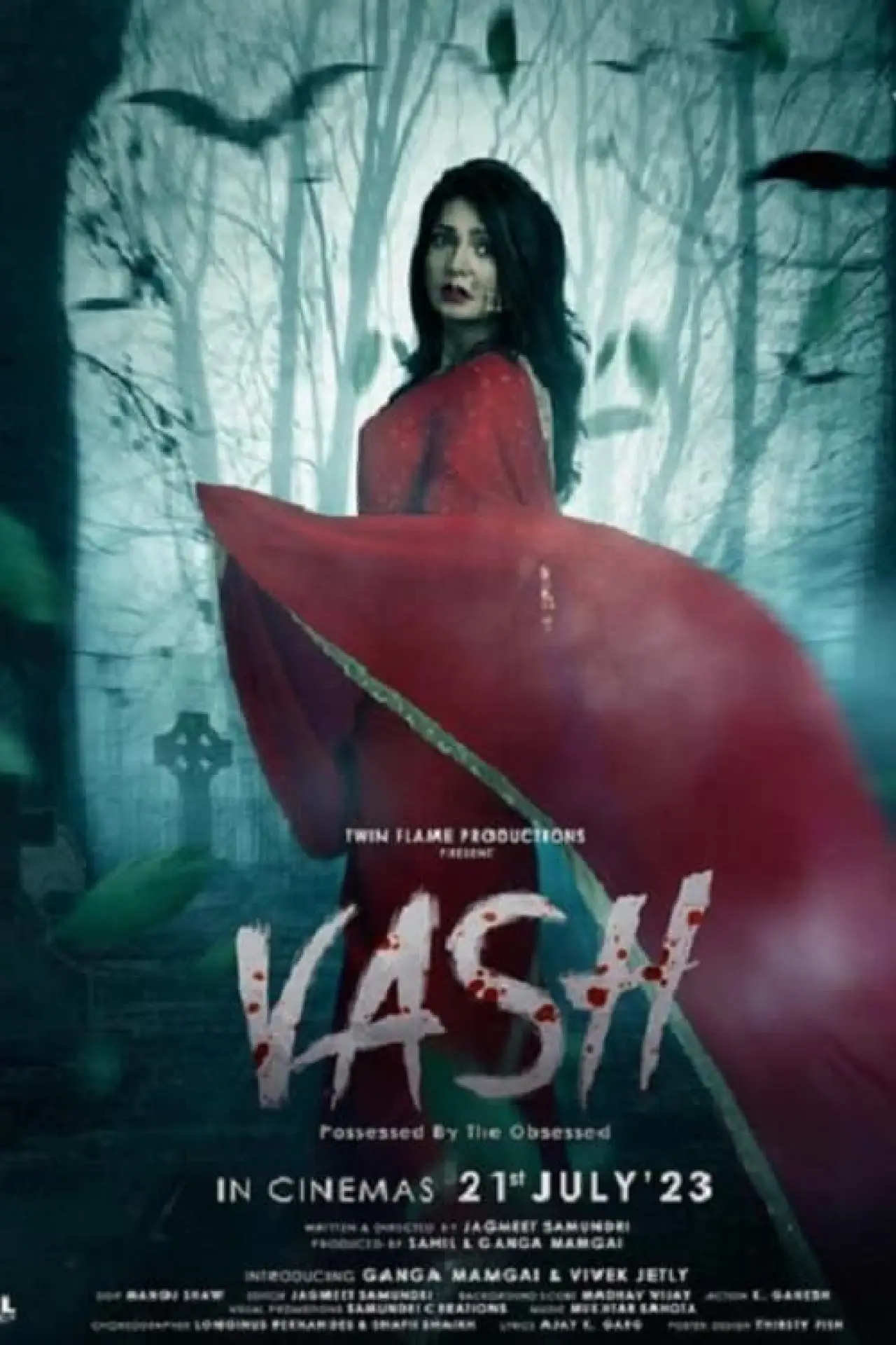 Постер к фильму "Vash"