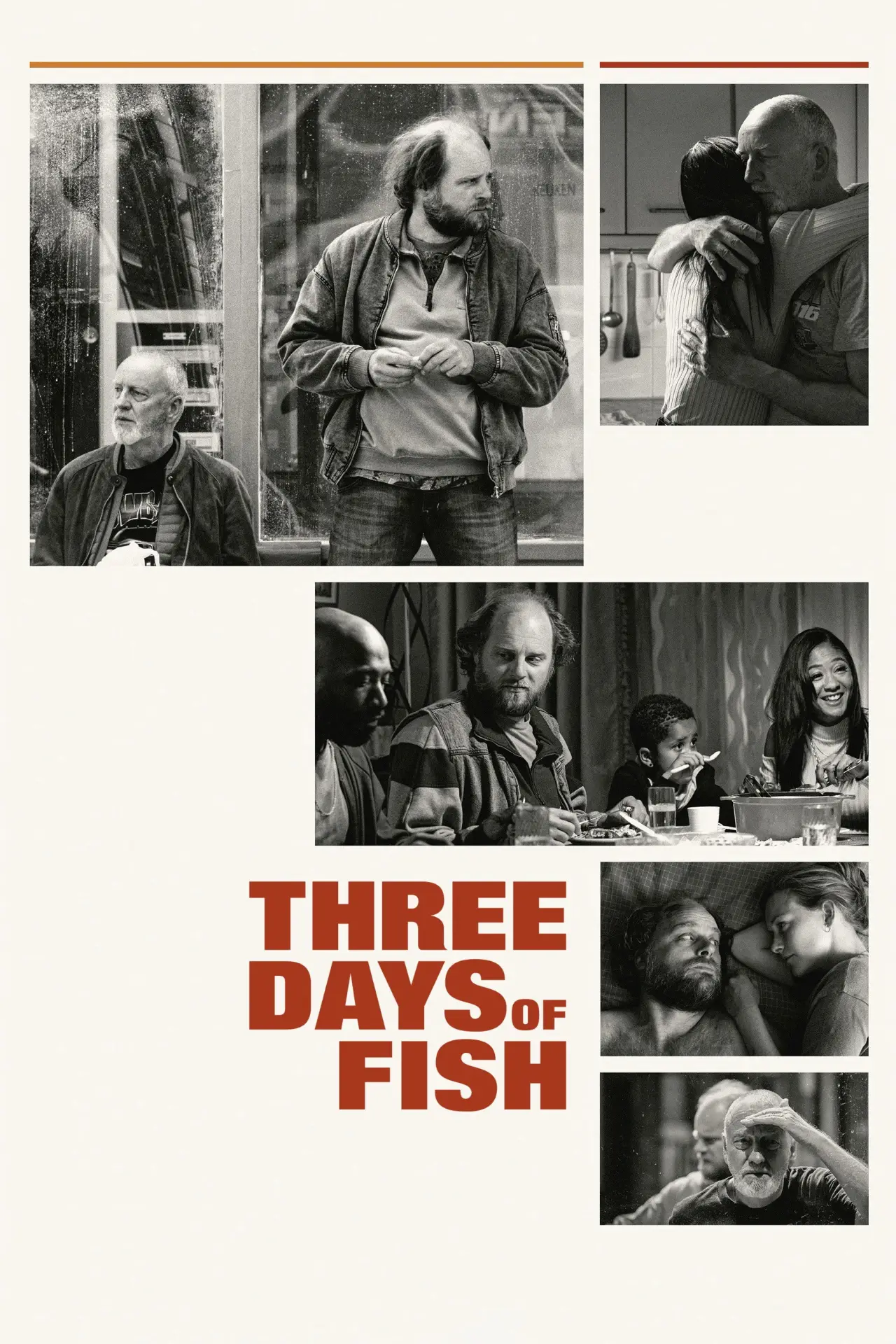 Постер к фильму "Drie dagen vis"