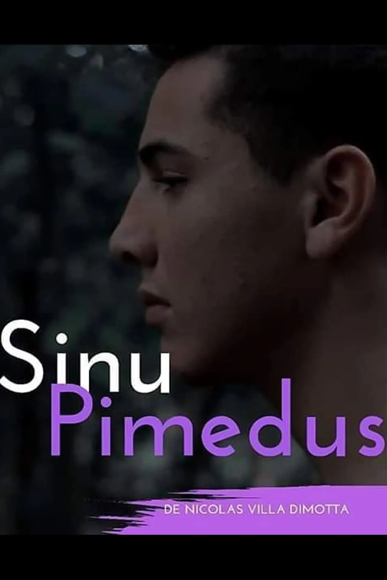 Постер к фильму "Sinu Pimedus"