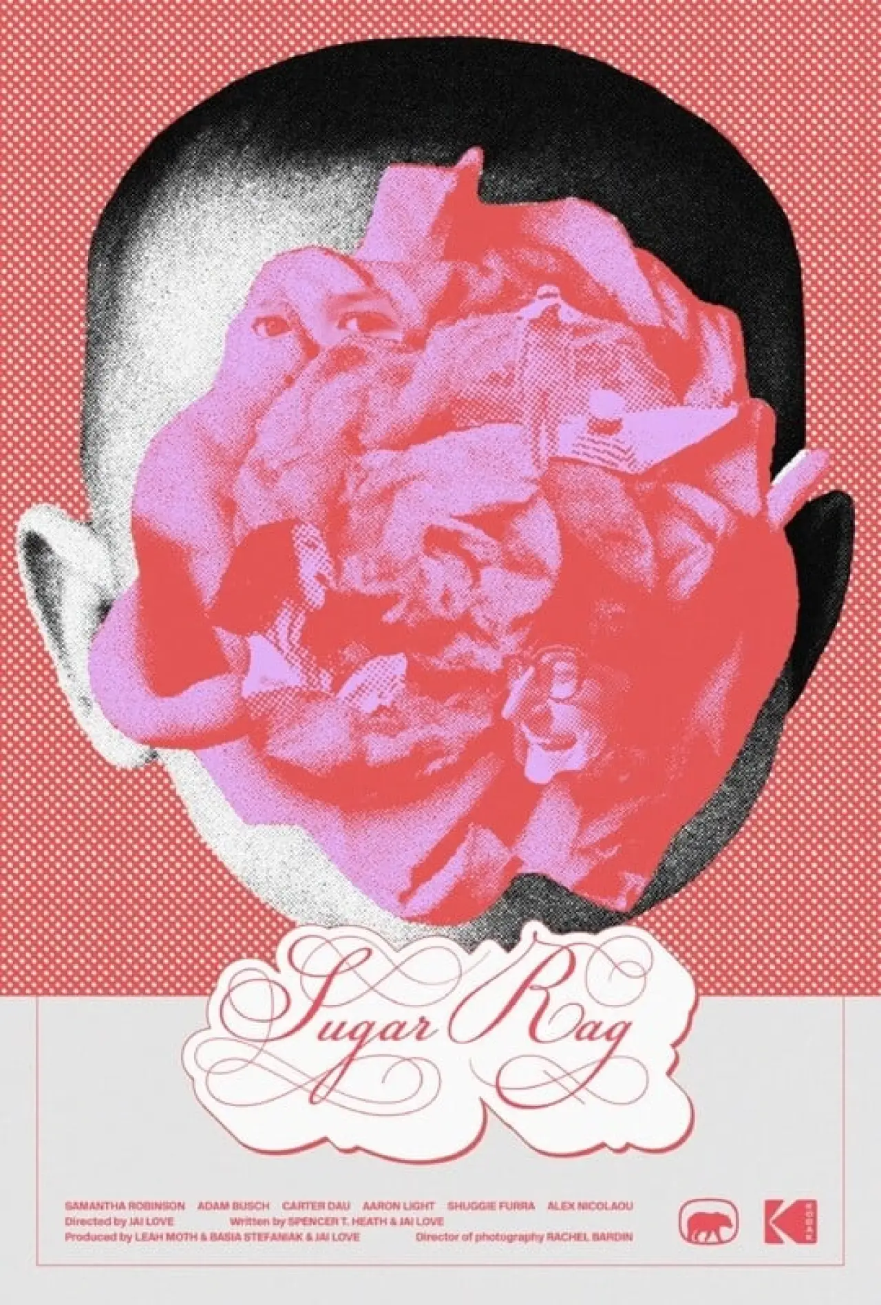 Постер к фильму "Sugar Rag"