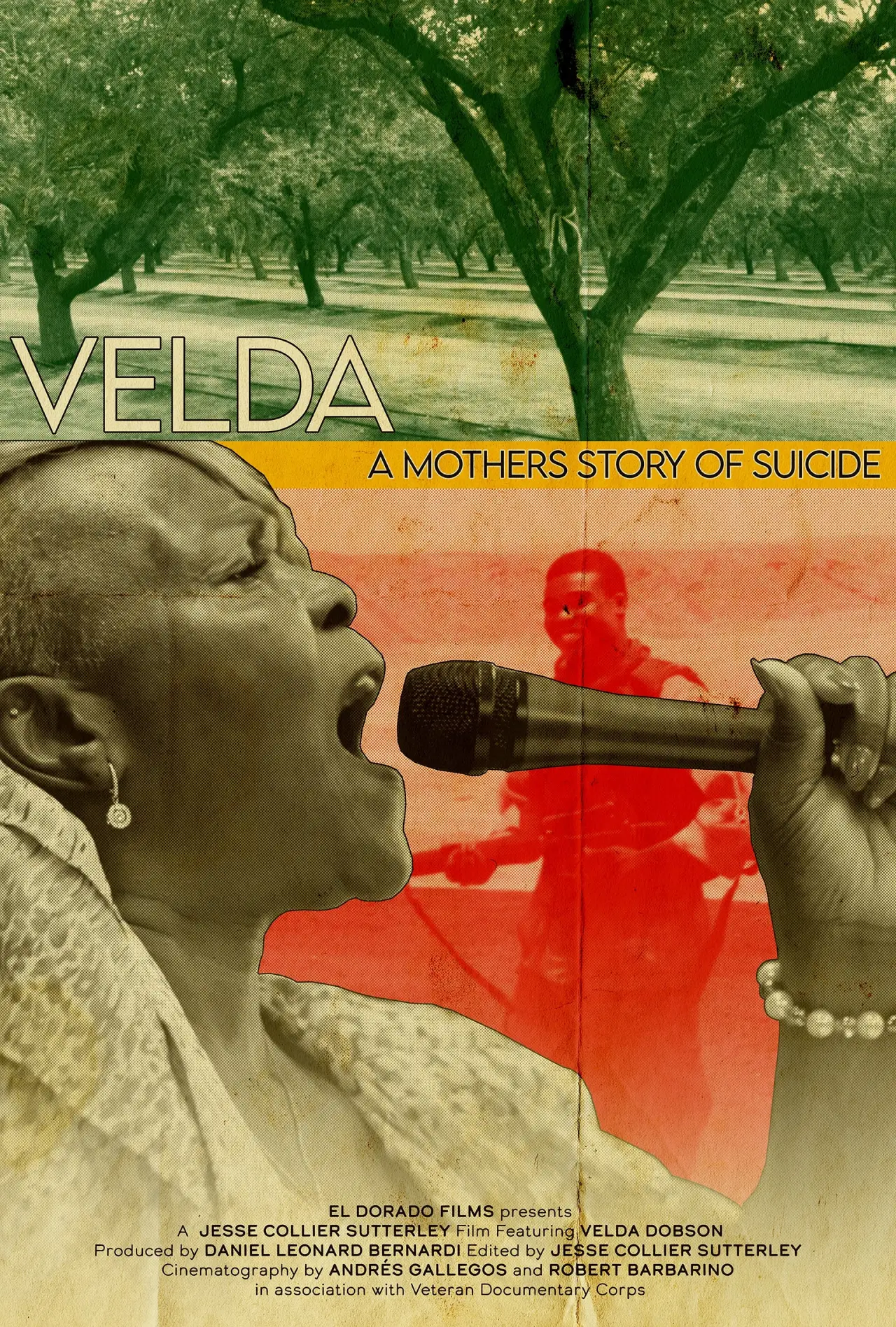 Постер к фильму "Velda: A Mom