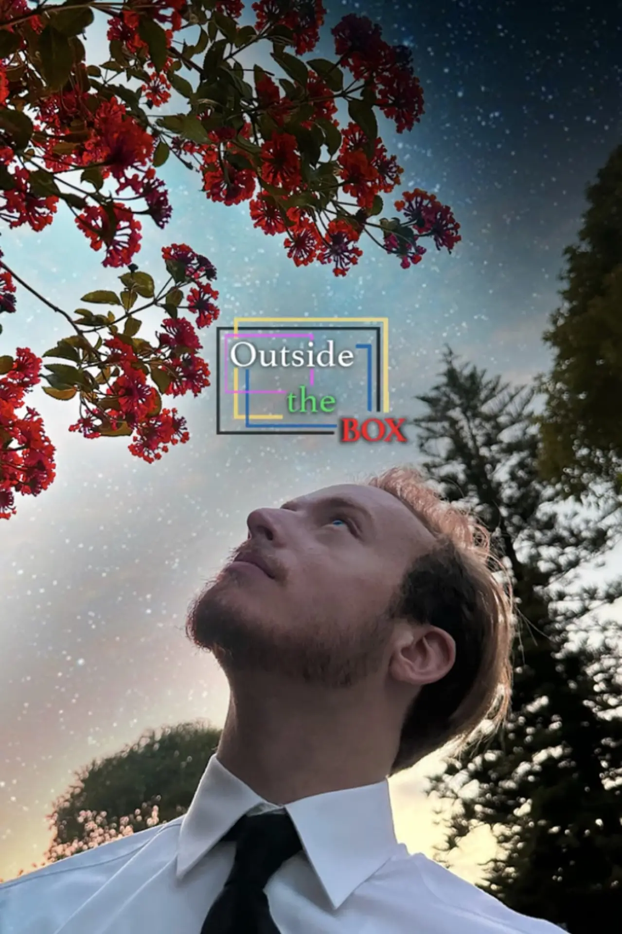Постер к фильму "Outside the Box"