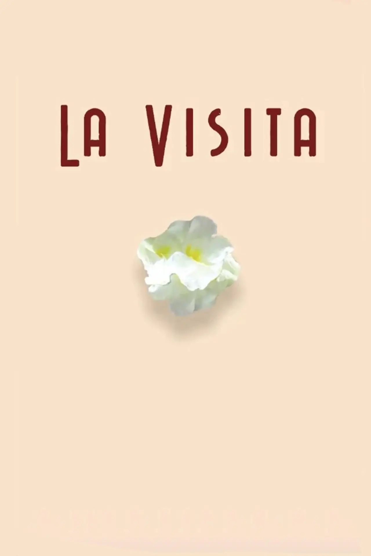 Постер к фильму "La visita"