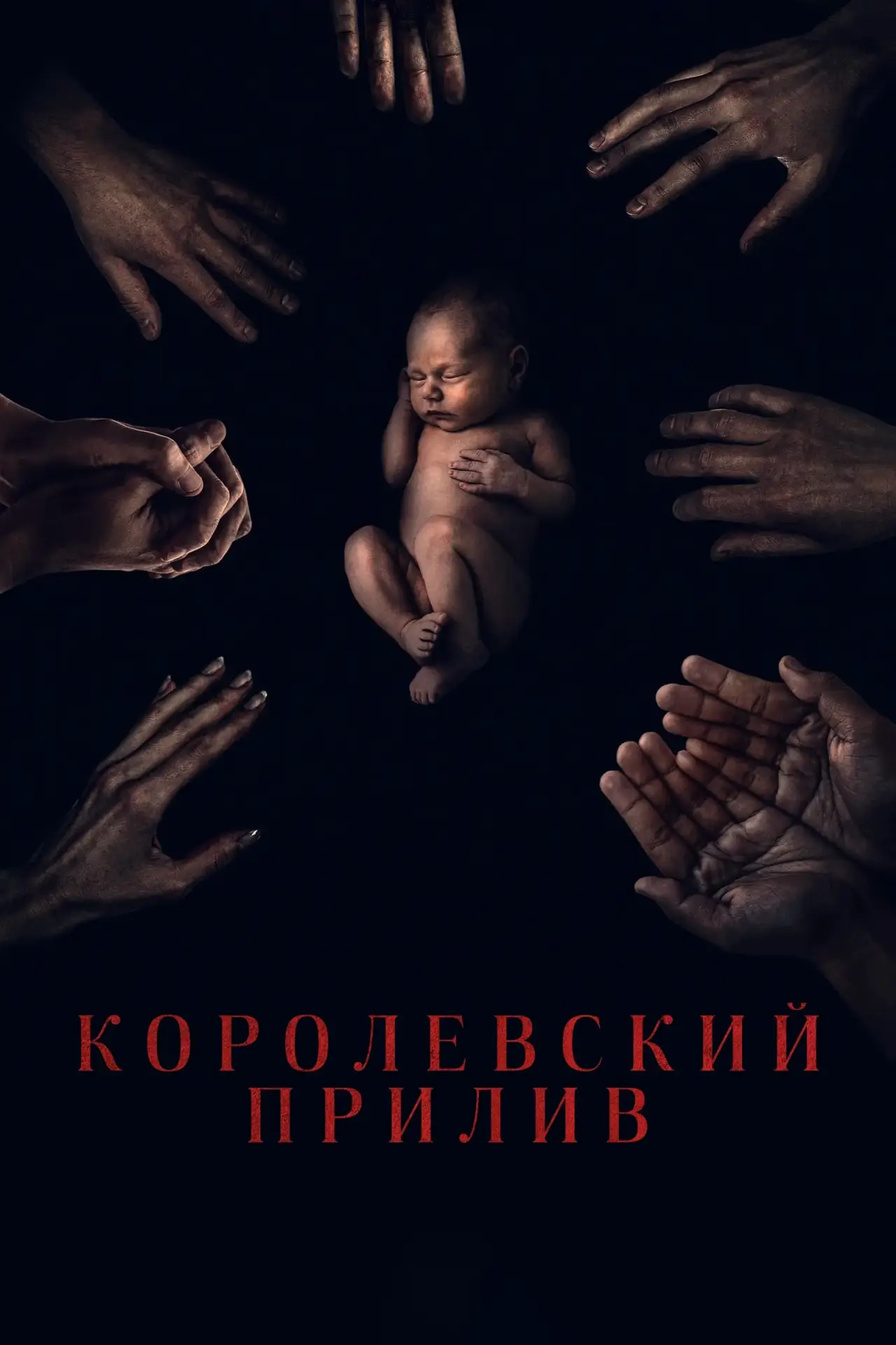 Постер к фильму "Королевский прилив"