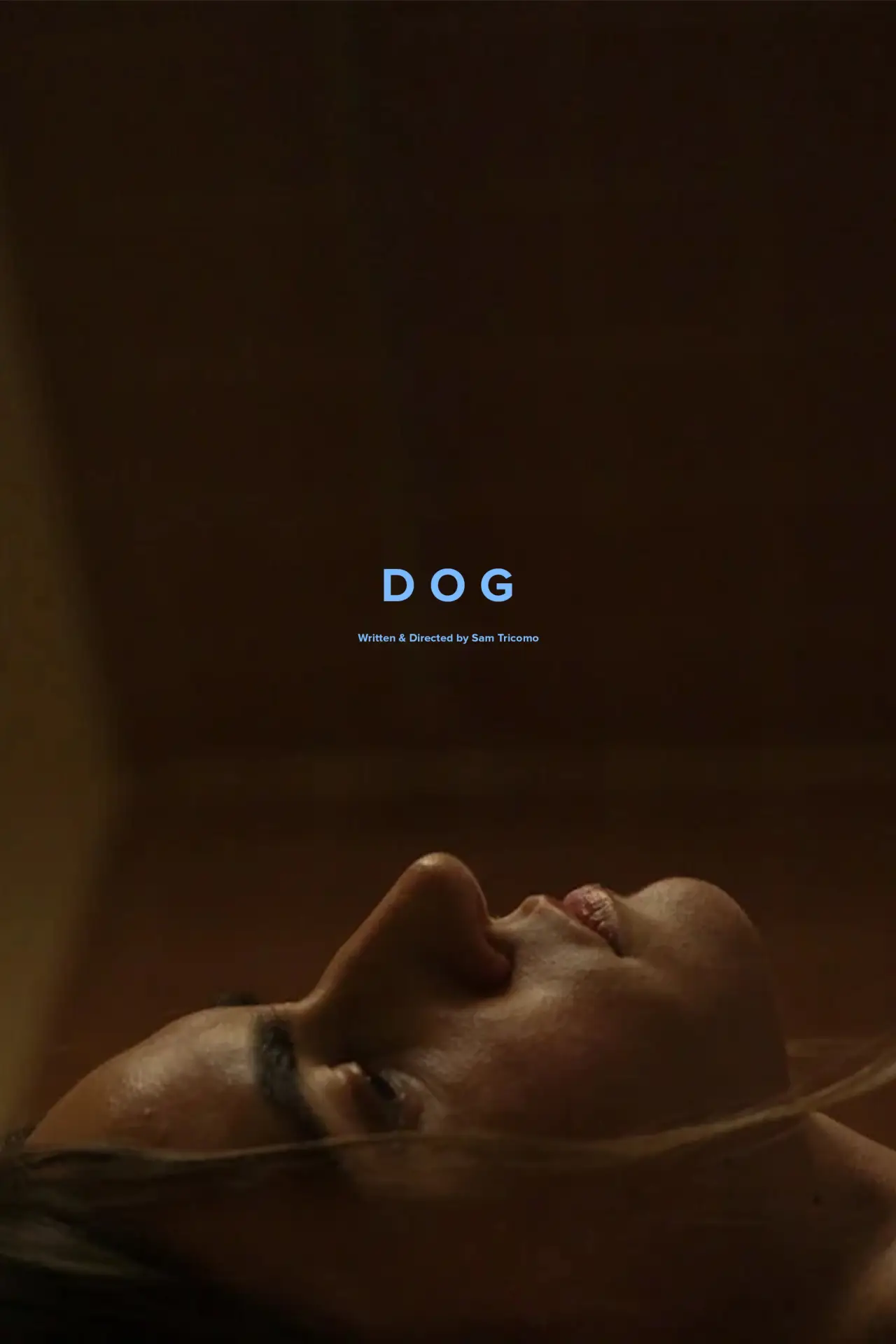 Постер к фильму "Dog"