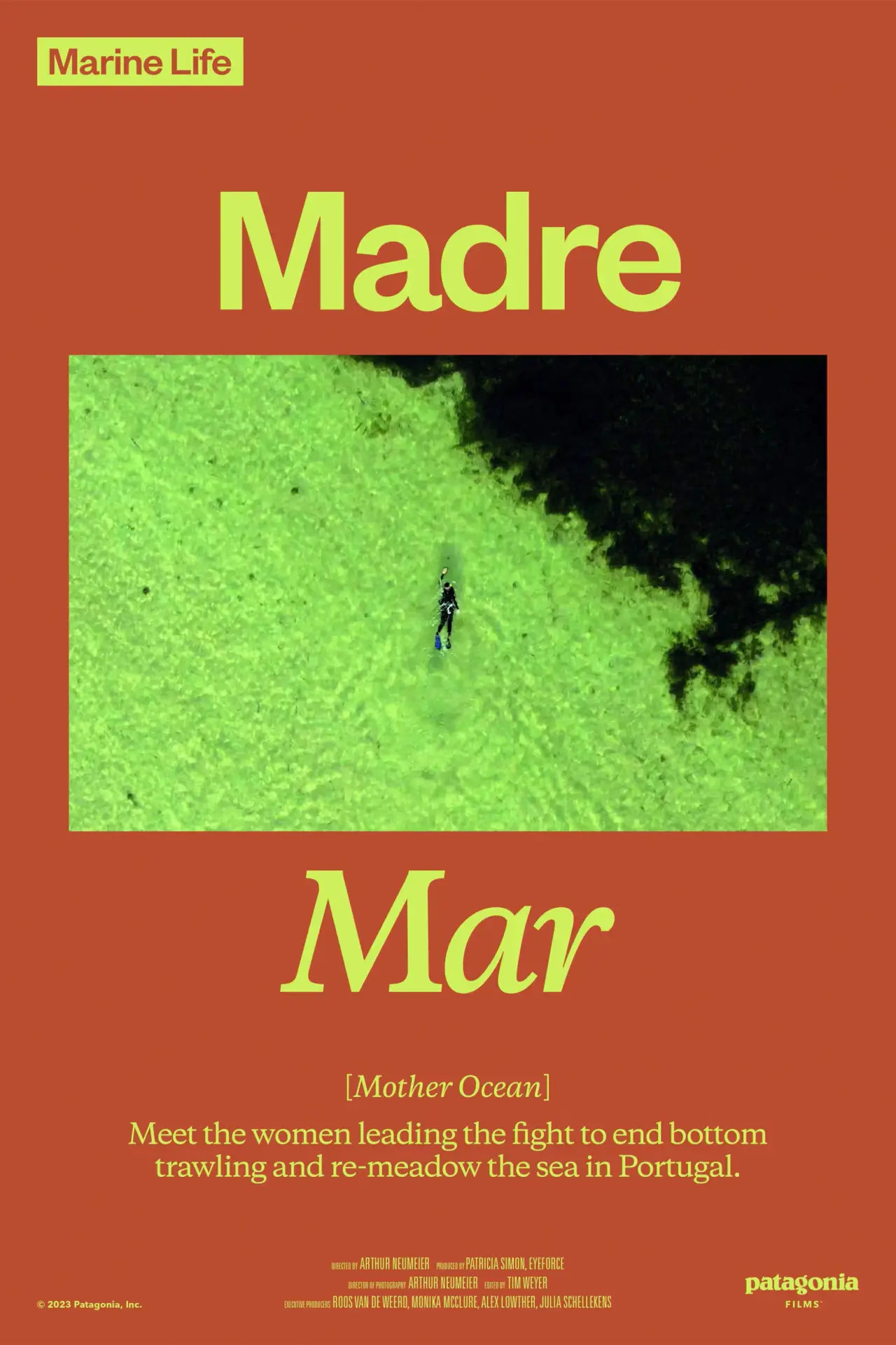Постер к фильму "Madre Mar"
