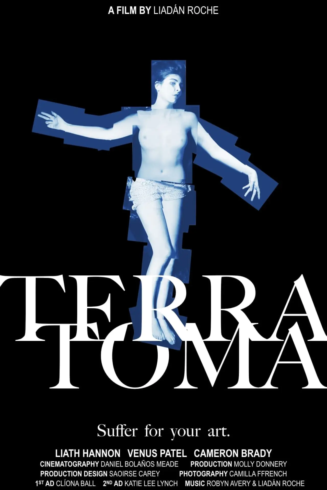 Постер к фильму "Terratoma"
