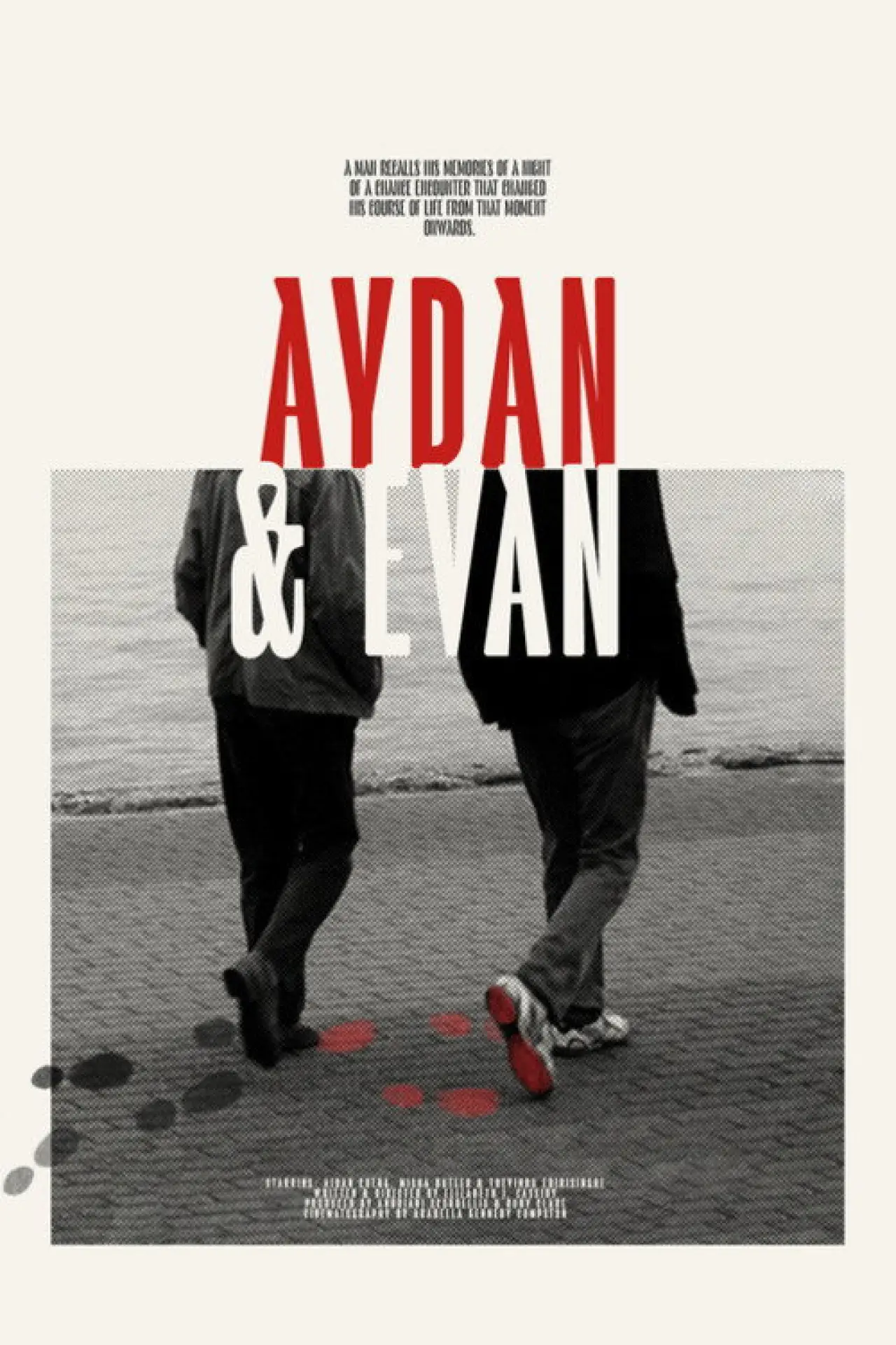 Постер к фильму "Aydan & Evan"