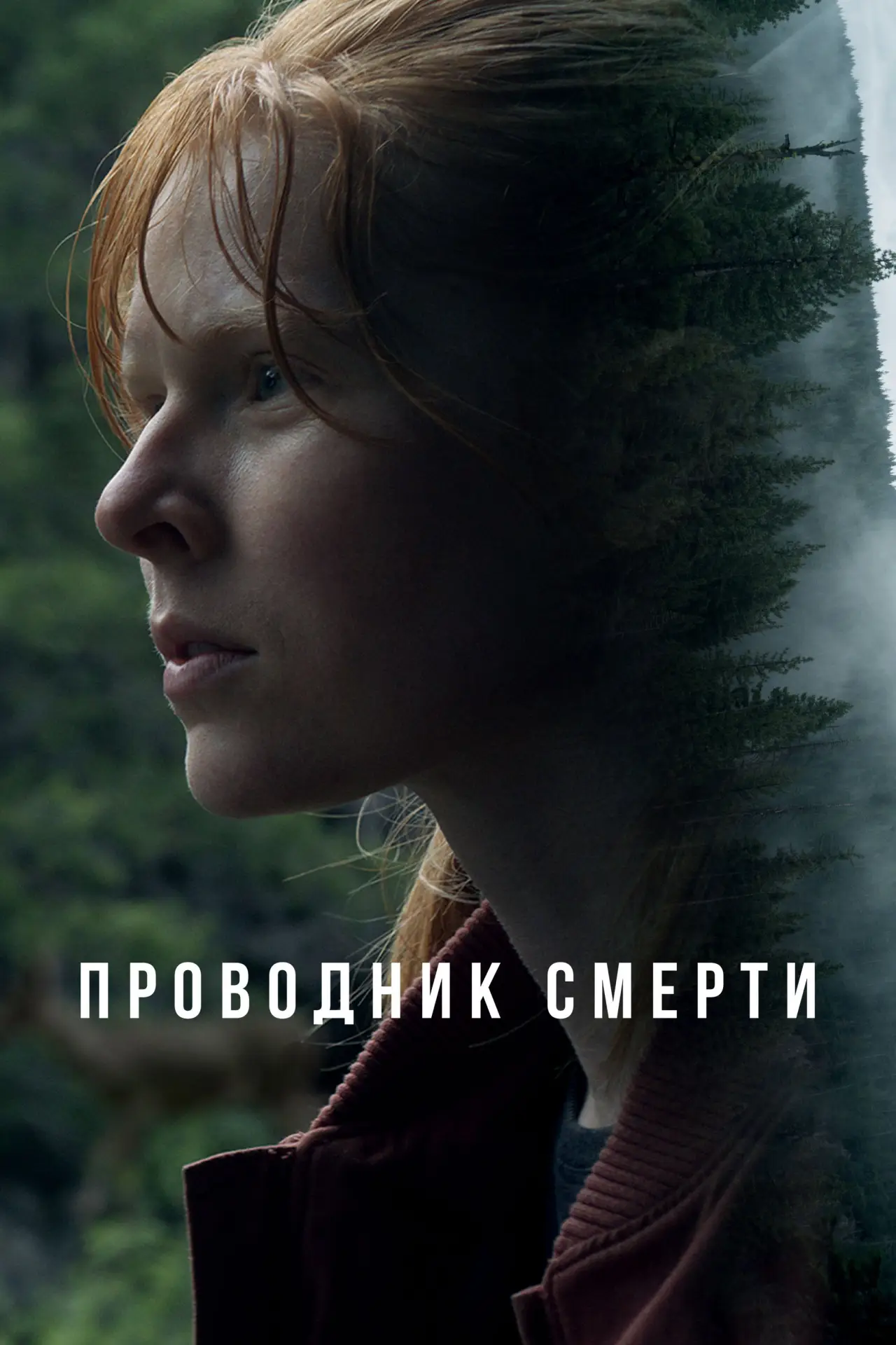 Постер к фильму "Проводник смерти"