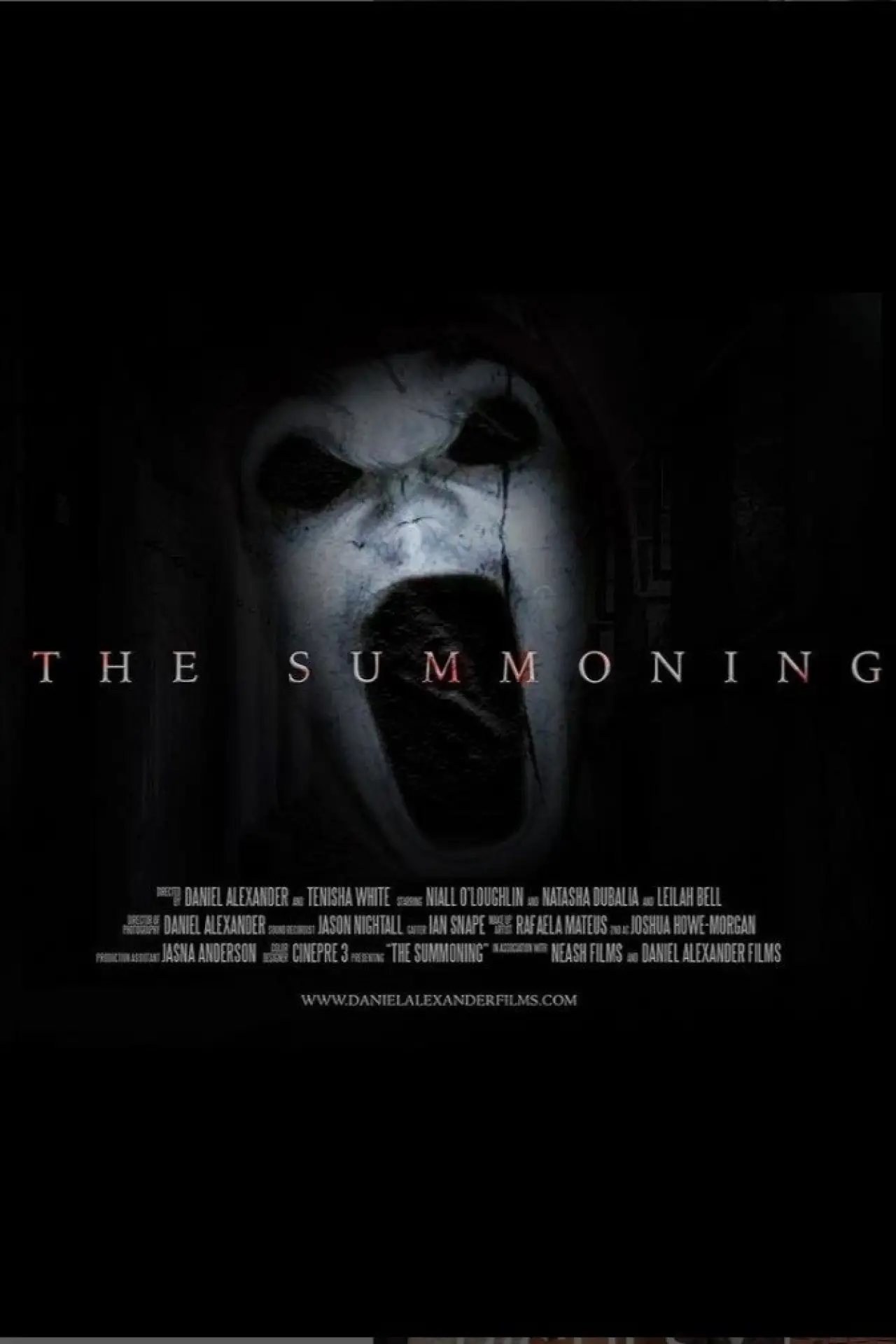 Постер к фильму "The Summoning"