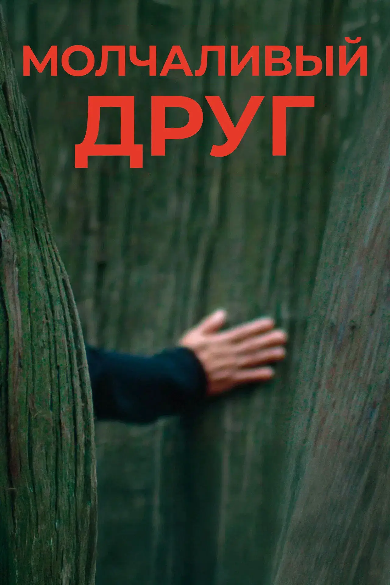 Постер к фильму "Молчаливый друг"