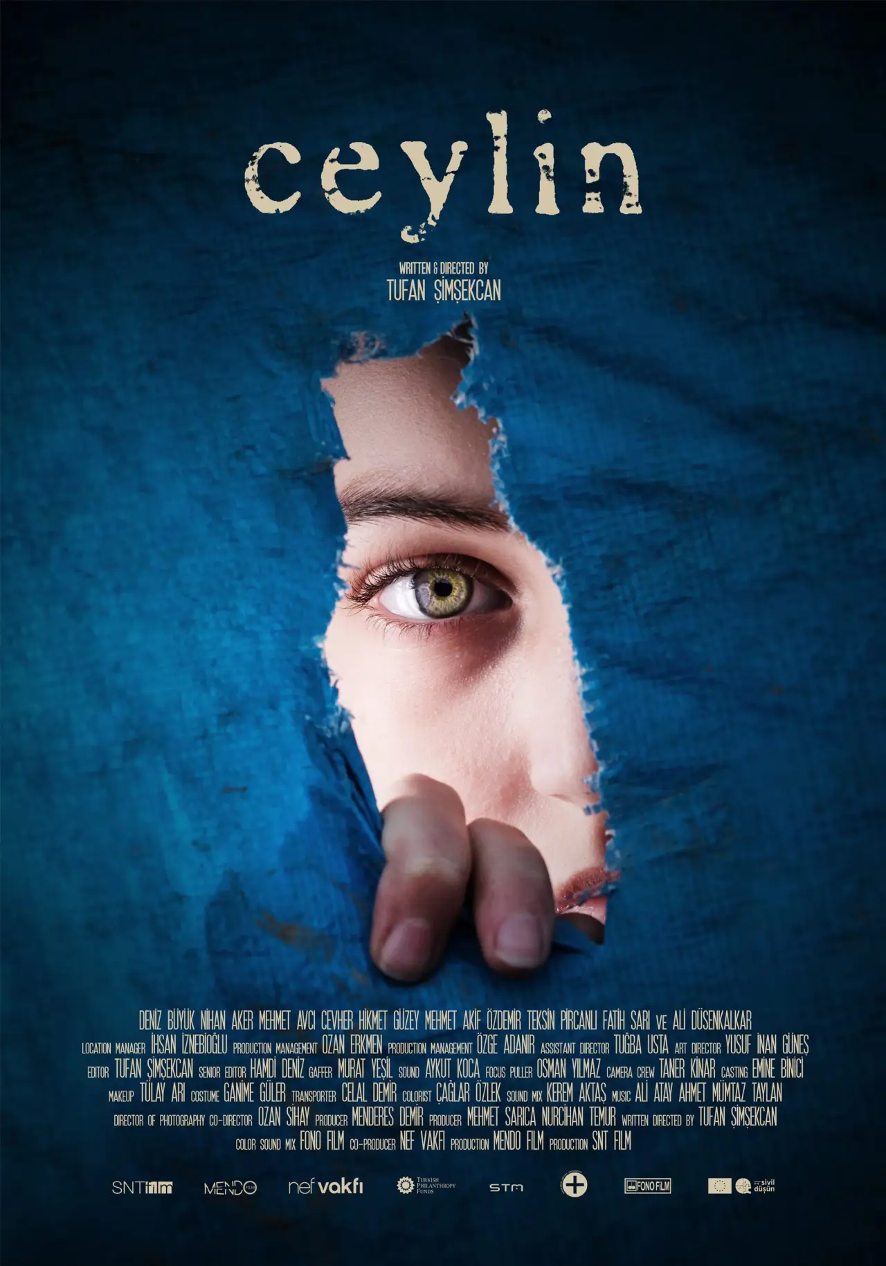 Постер к фильму "Ceylin"