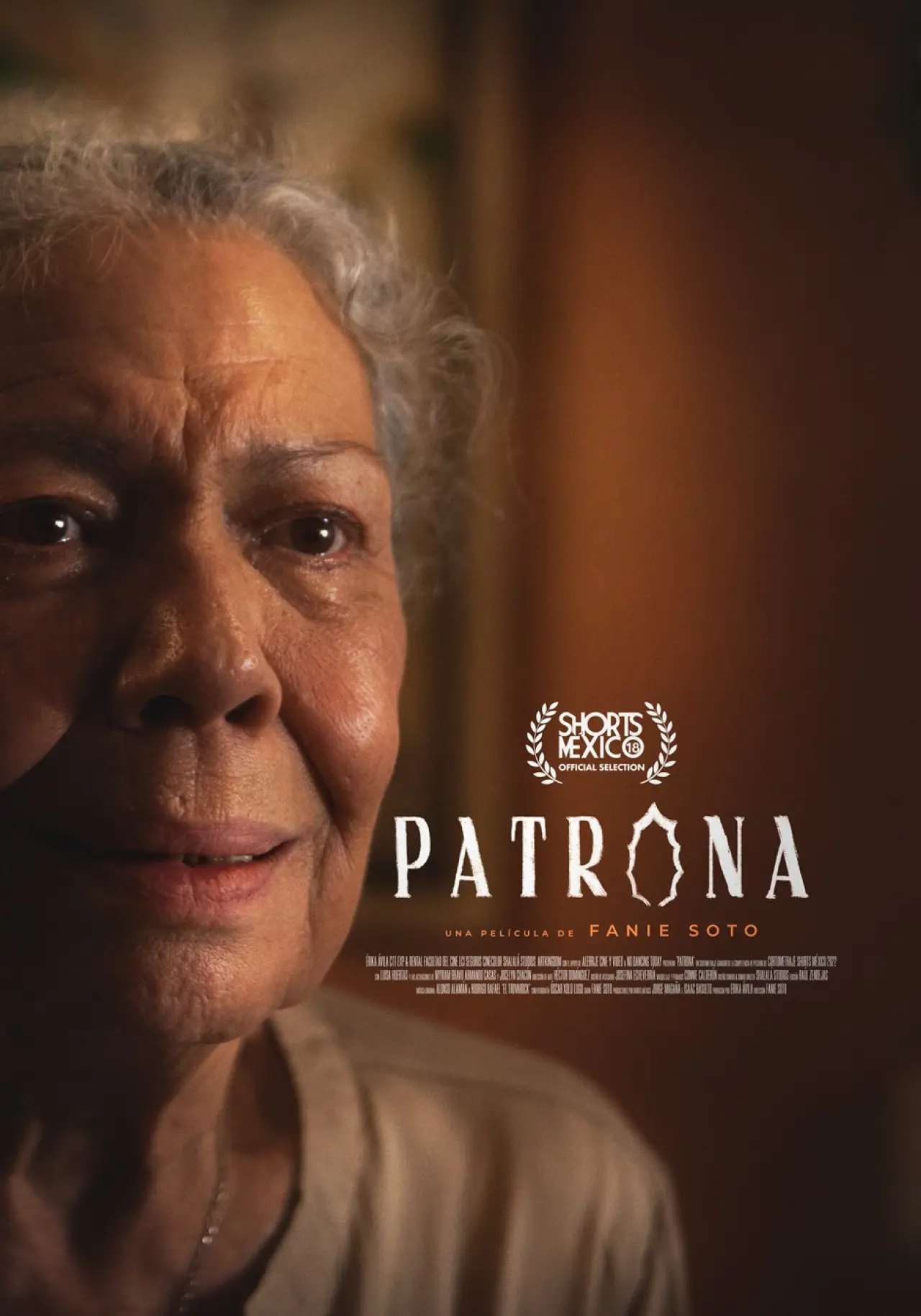 Постер к фильму "Patrona"