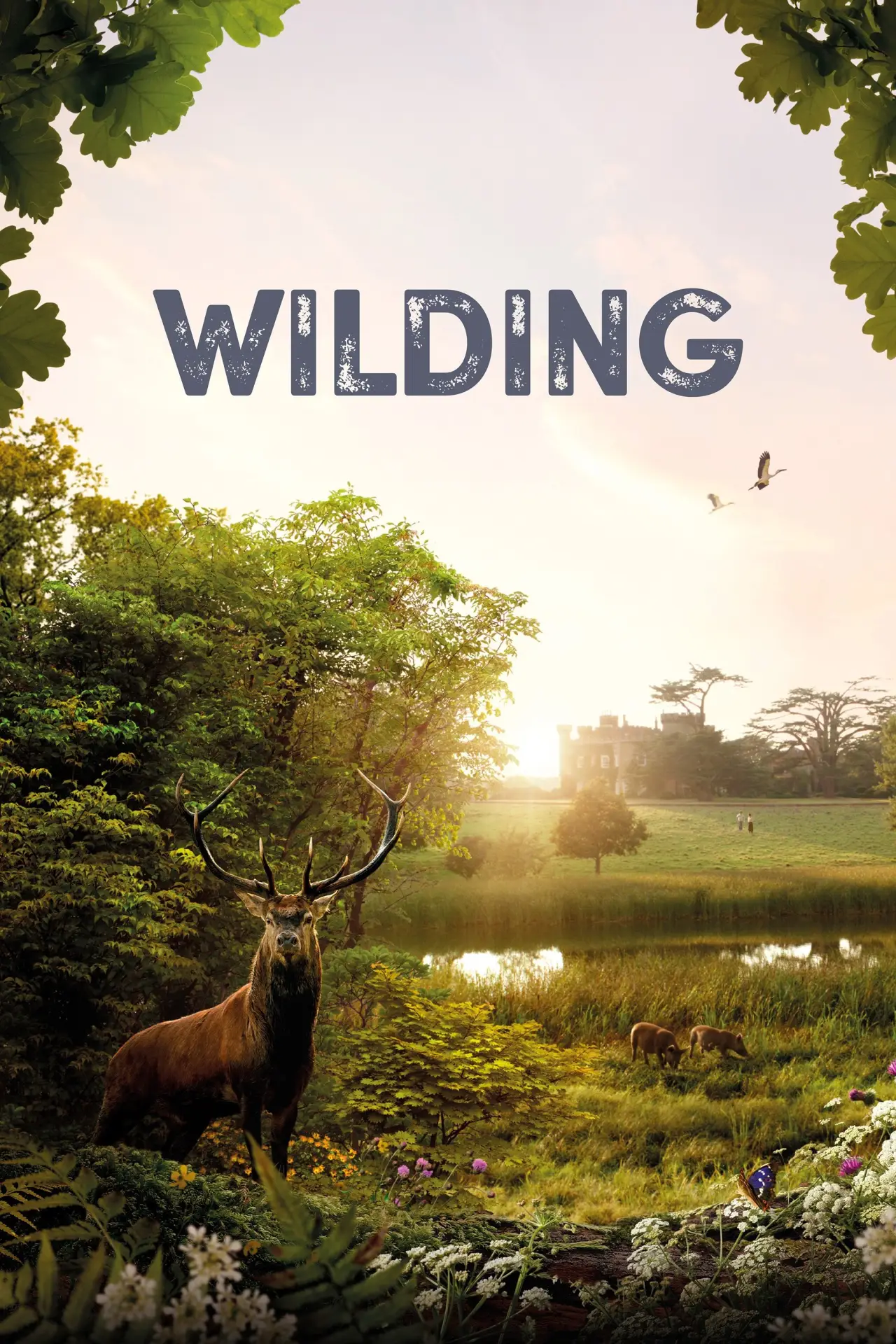 Постер к фильму "Wilding"
