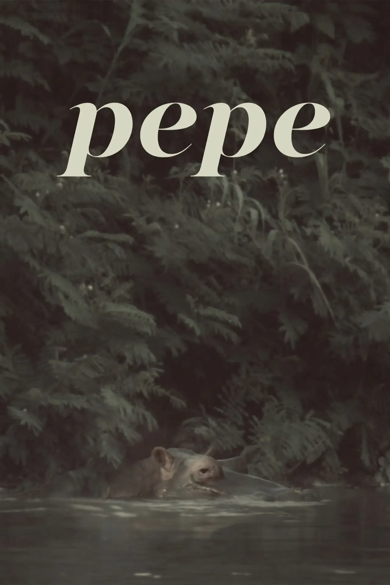 Постер к фильму "Pepe"