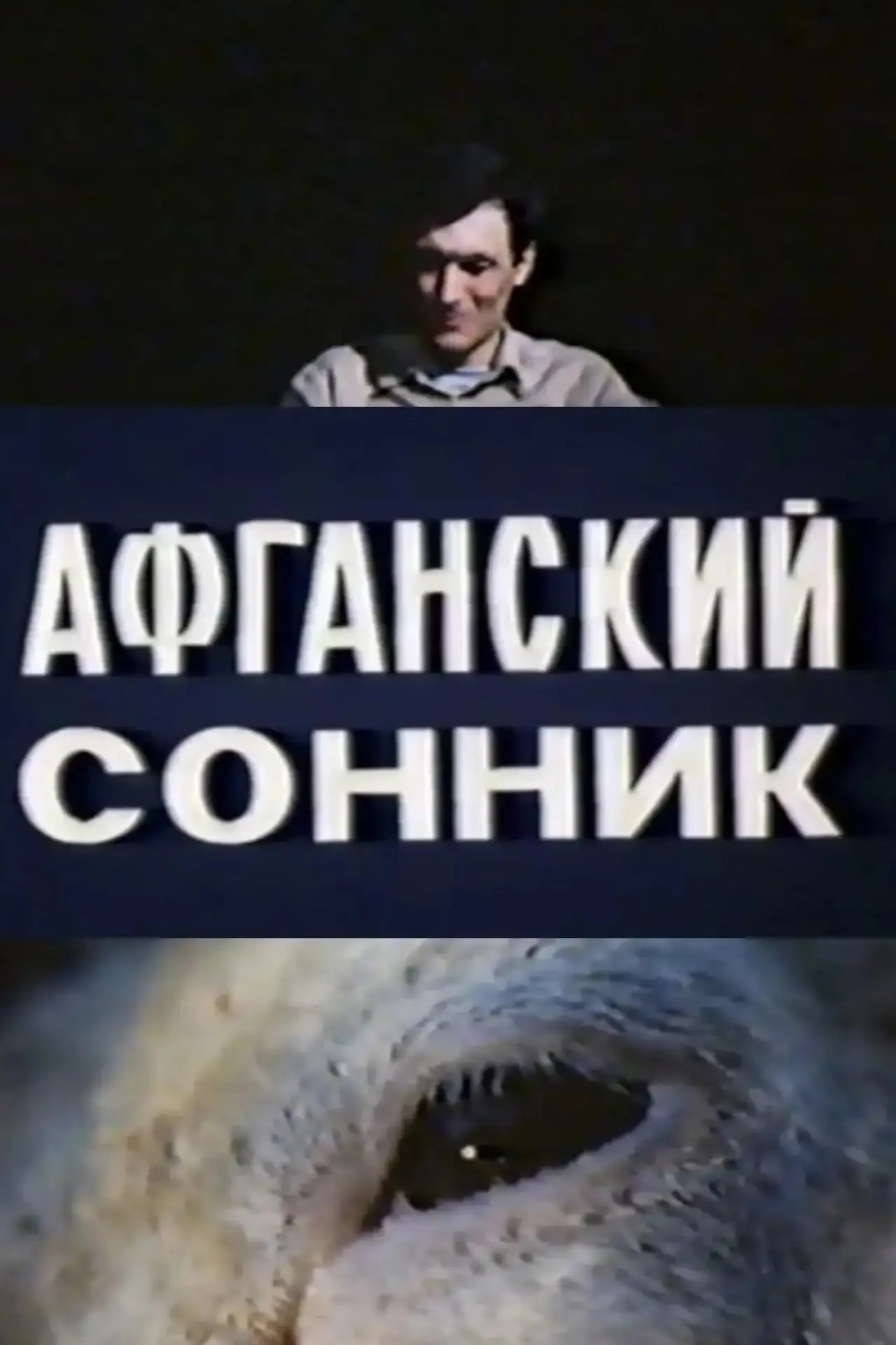 Постер к фильму "Афганский сонник"