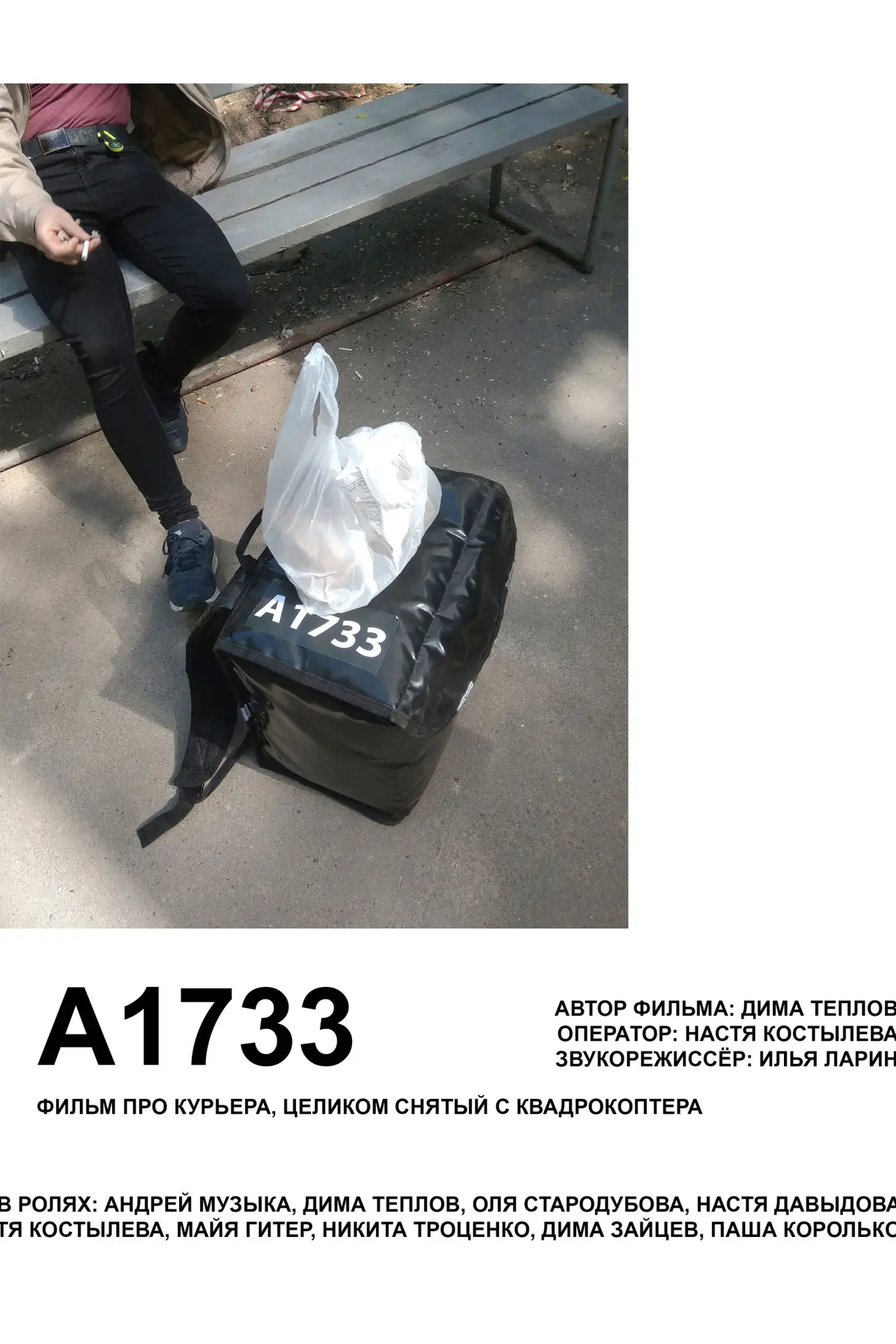 Постер к фильму "А1733"