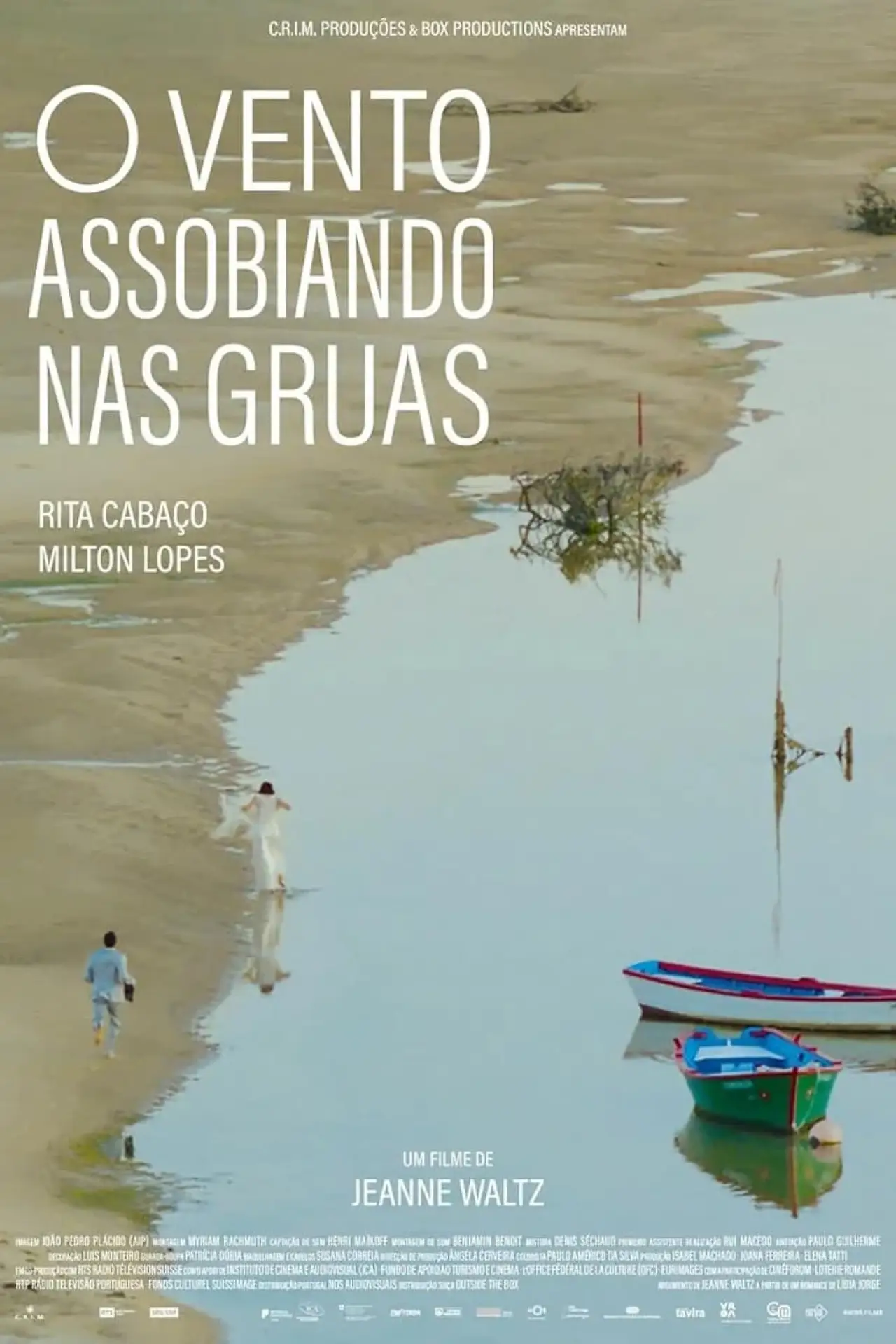 Постер к фильму "O Vento Assobiando nas Gruas"