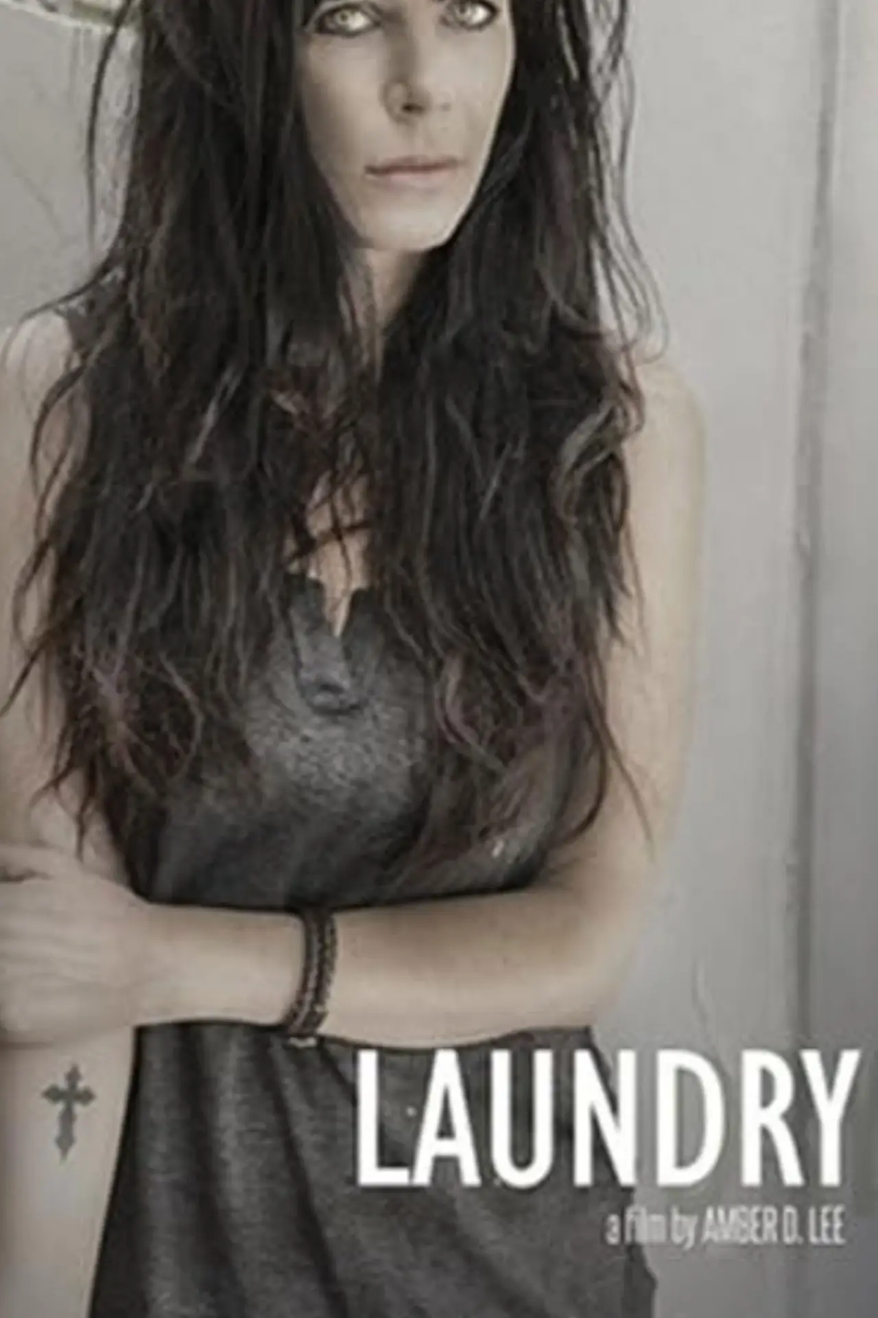 Постер к фильму "Laudry"