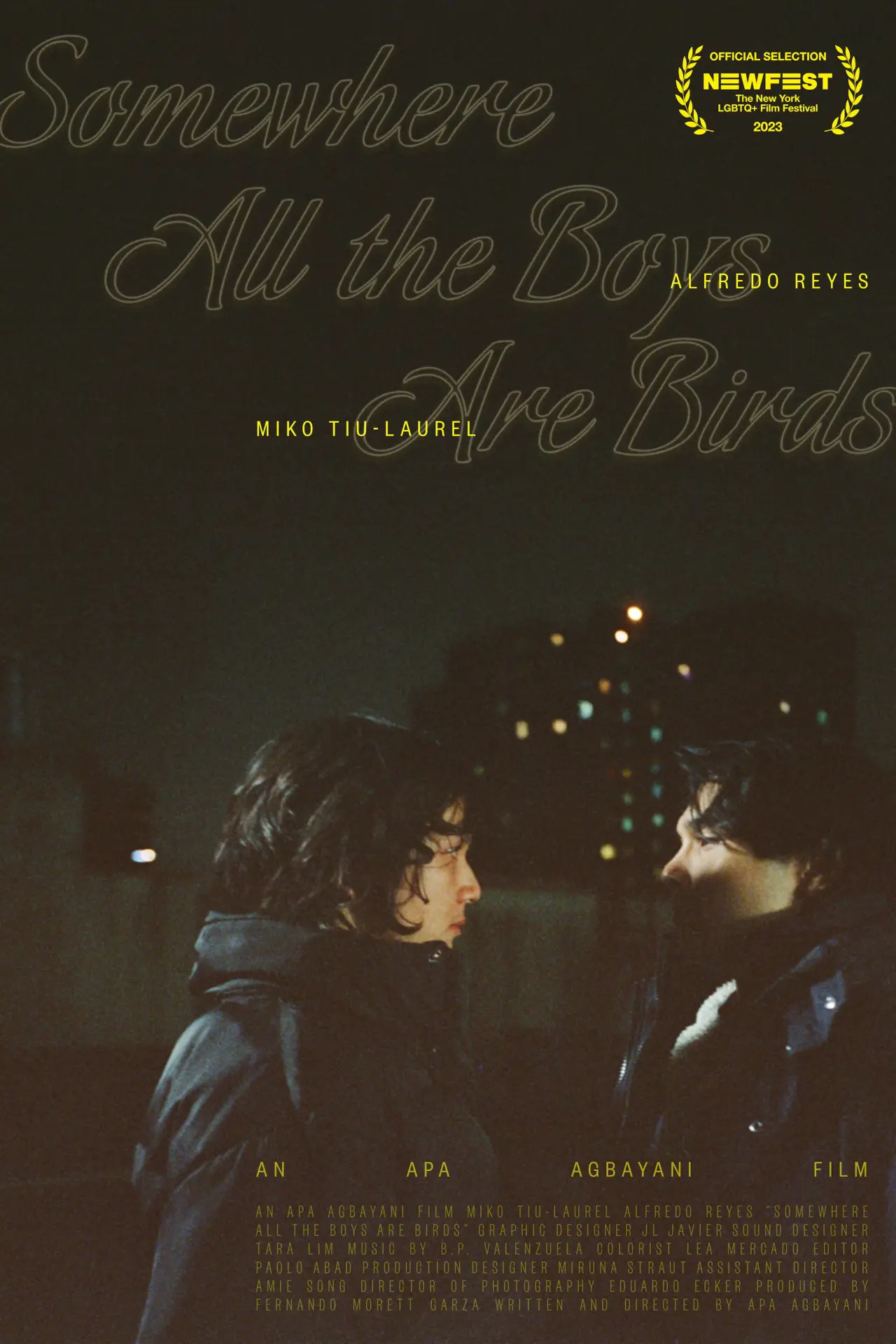 Постер к фильму "Somewhere all the boys are birds"