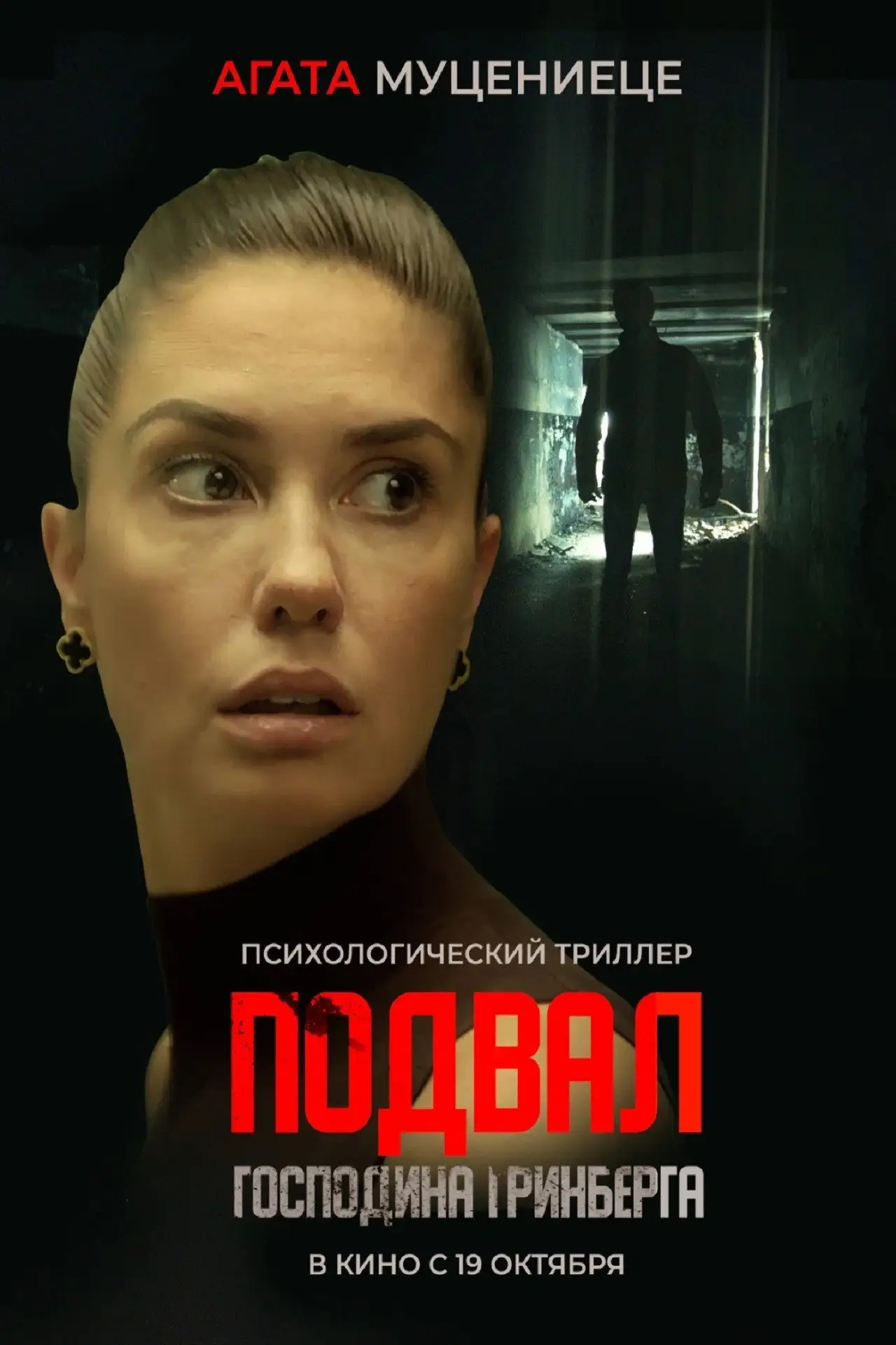 Постер к фильму "Подвал господина Гринберга"