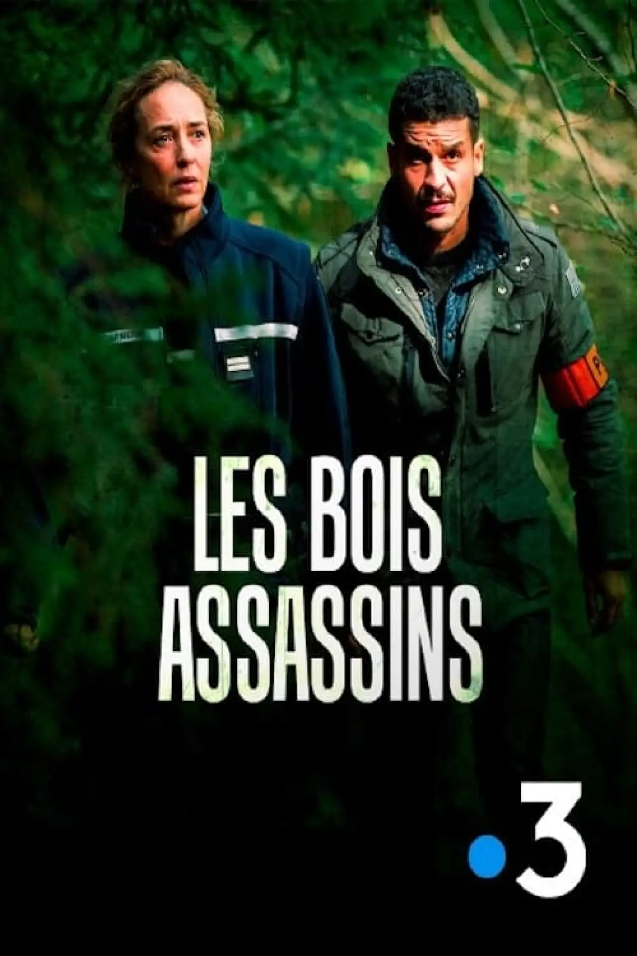 Постер к фильму "Les Bois assassins"