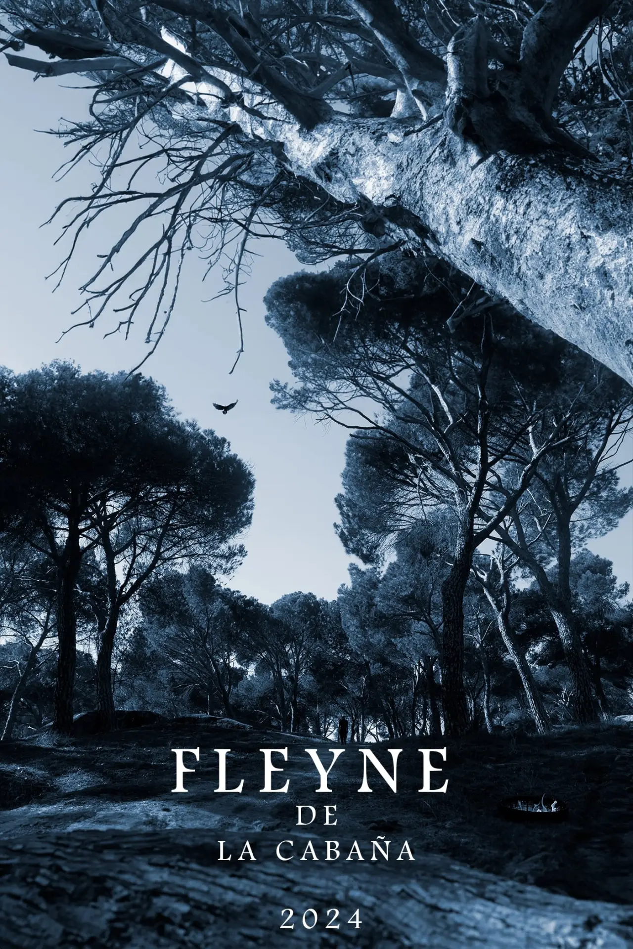 Постер к фильму "Fleyne: La Paloma Abandonada"