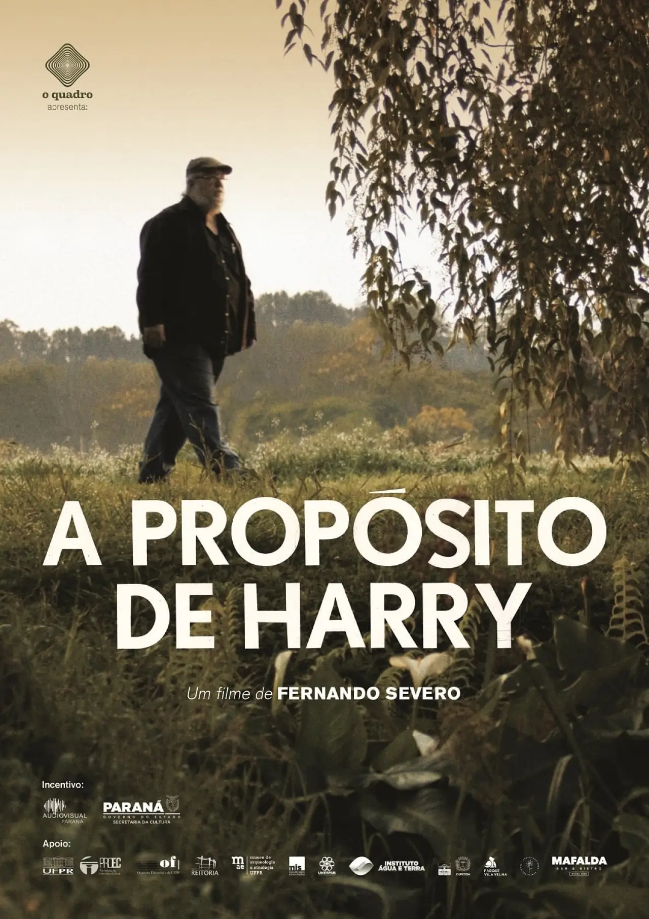 Постер к фильму "A Propósito de Harry"