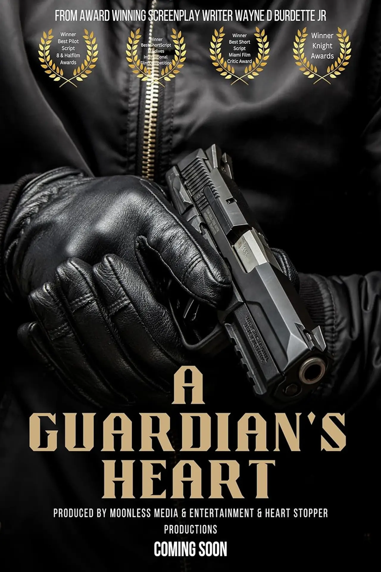 Постер к фильму "A Guardian