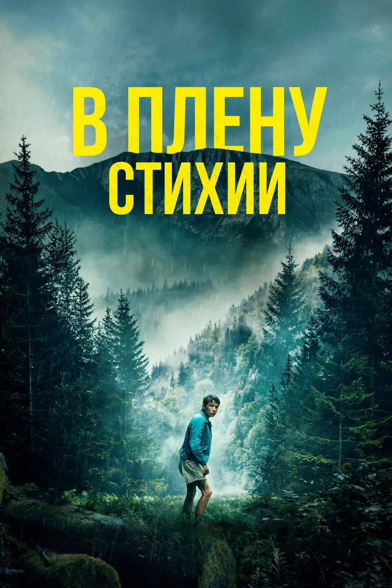 Постер к фильму "В плену стихии"