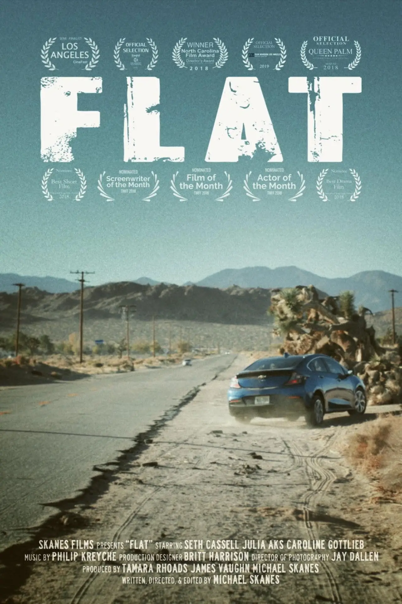 Постер к фильму "Flat"