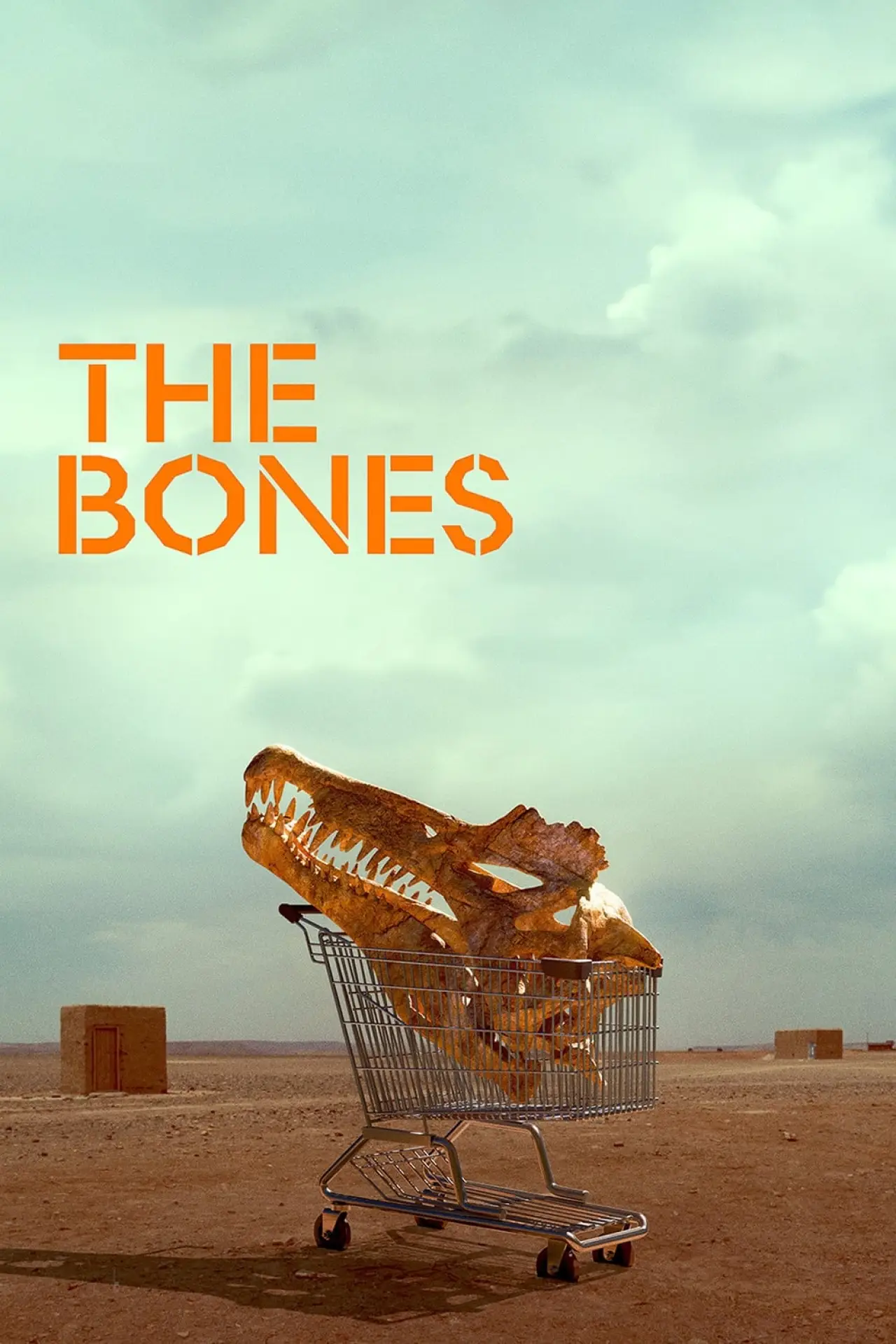 Постер к фильму "The Bones"