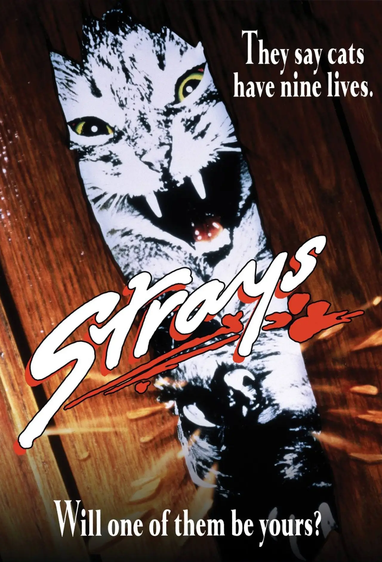 Постер к фильму "Strays"