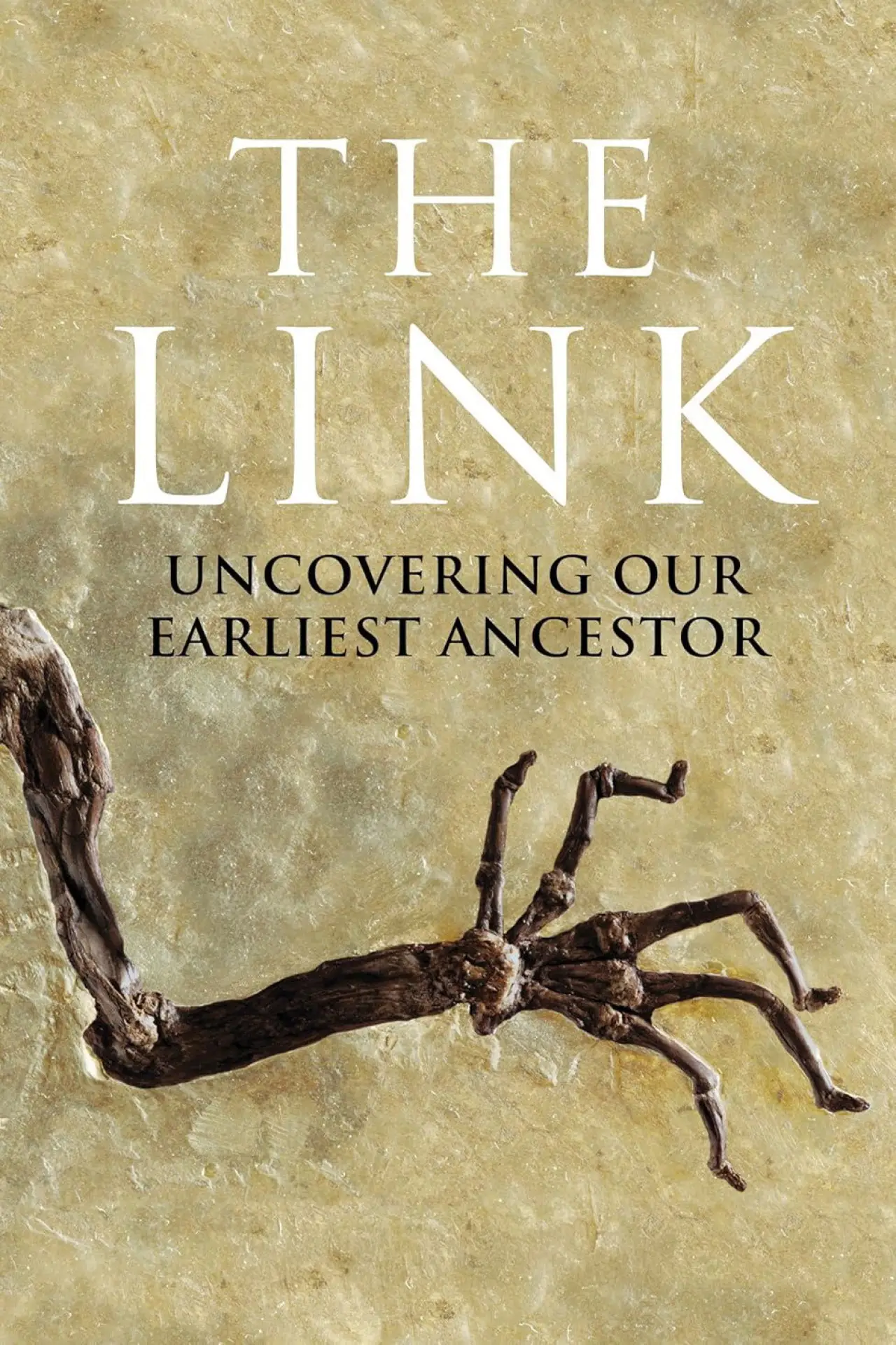 Постер к фильму "Uncovering Our Earliest Ancestor: The Link"